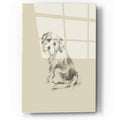 Epic Art 'Puppy Dog Eyes III' by Ethan Harper, Acrylic Glass Wall Art