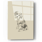 Epic Art 'Puppy Dog Eyes III' by Ethan Harper, Acrylic Glass Wall Art