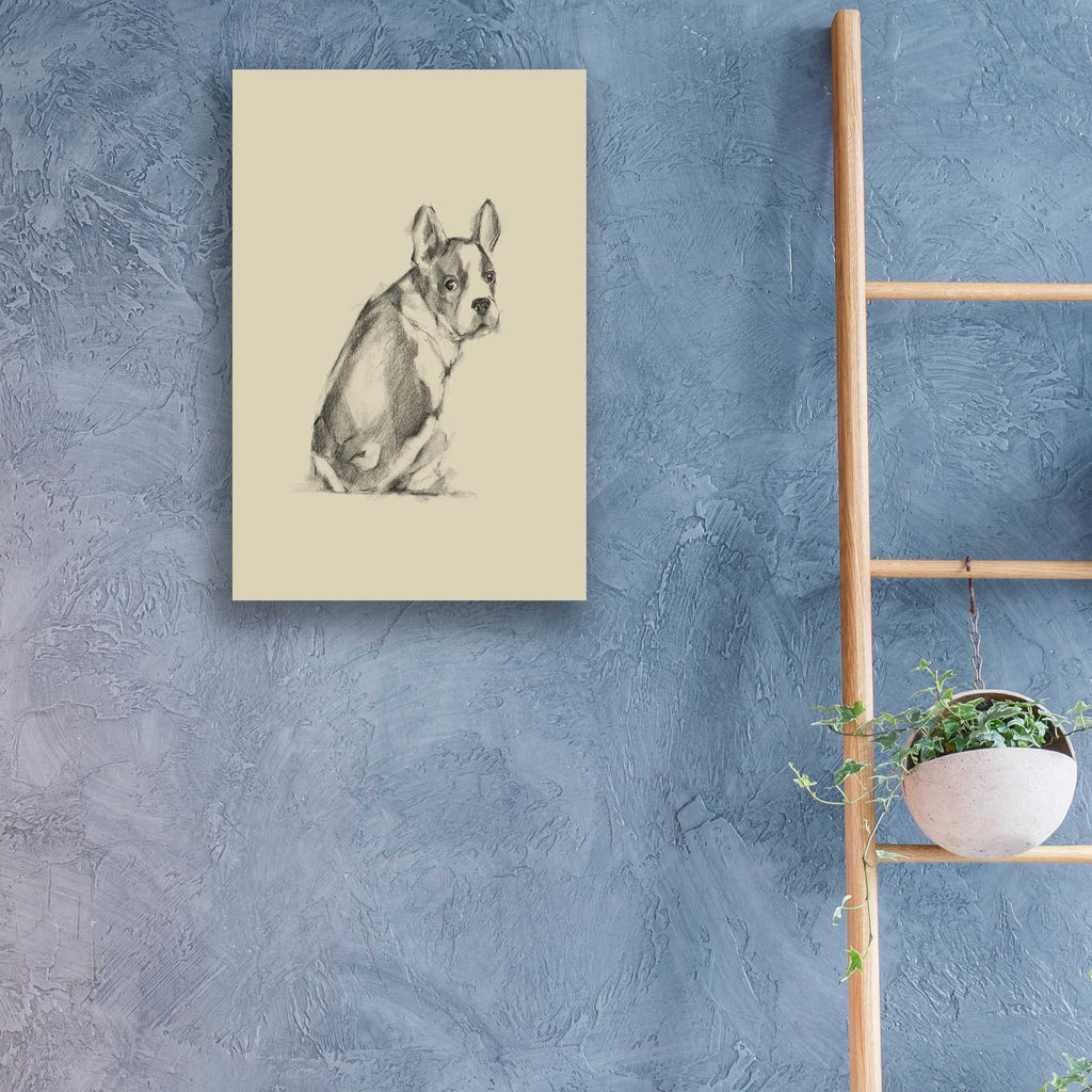 Epic Art 'Puppy Dog Eyes IV' by Ethan Harper, Acrylic Glass Wall Art,16x24