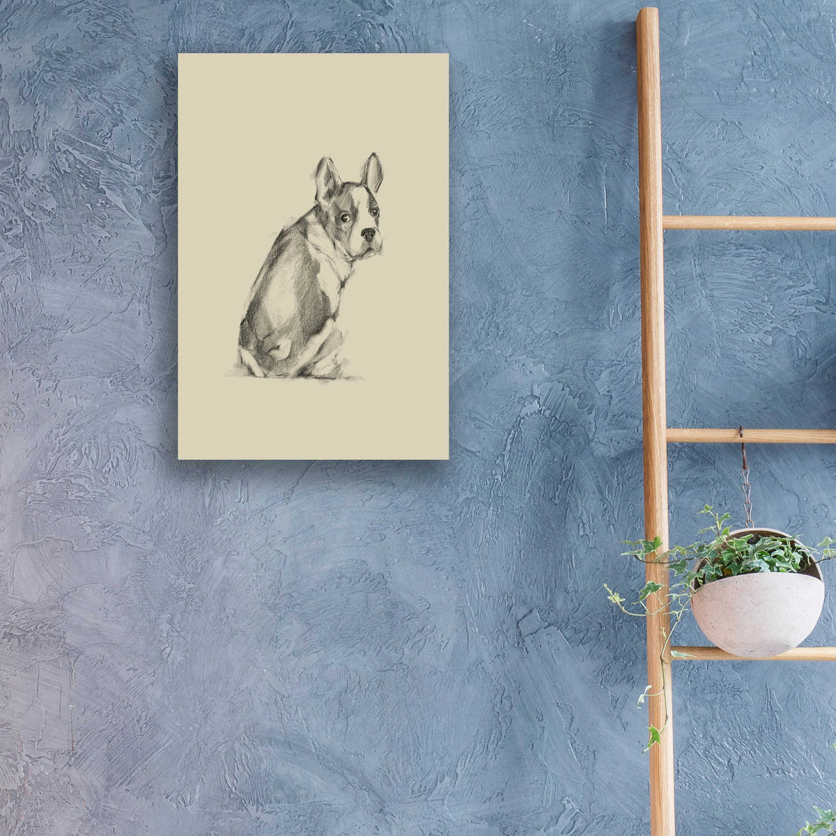 Epic Art 'Puppy Dog Eyes IV' by Ethan Harper, Acrylic Glass Wall Art,16x24