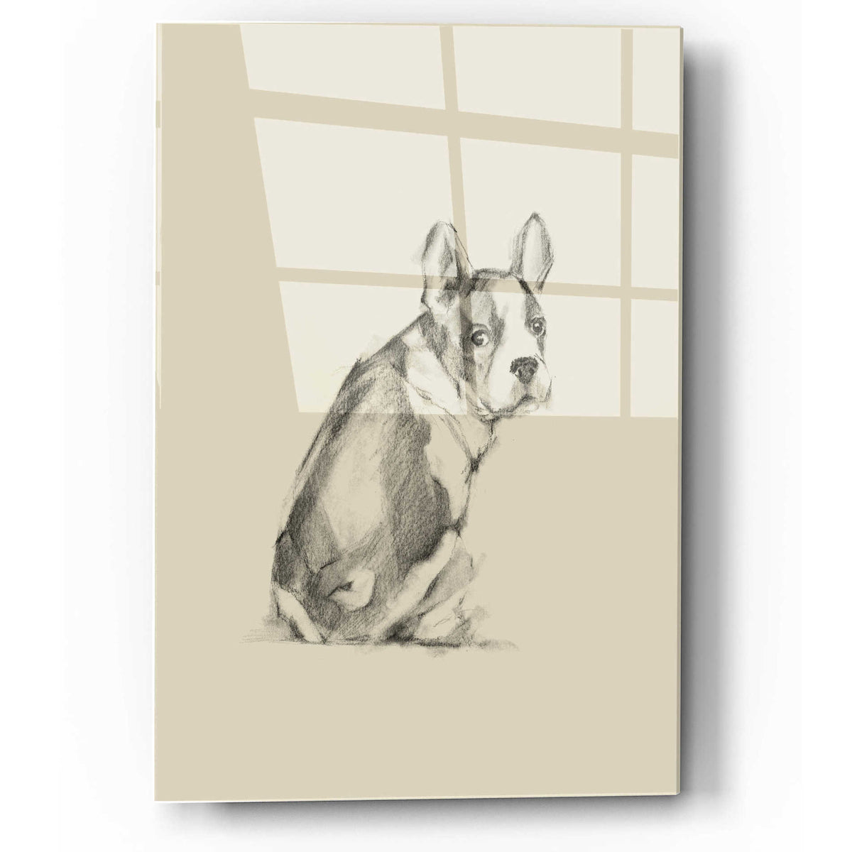 Epic Art 'Puppy Dog Eyes IV' by Ethan Harper, Acrylic Glass Wall Art