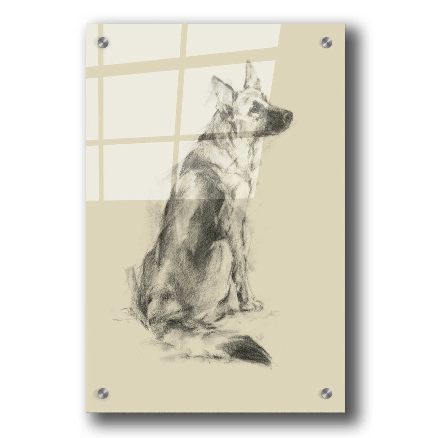 Epic Art 'Puppy Dog Eyes V' by Ethan Harper, Acrylic Glass Wall Art,24x36