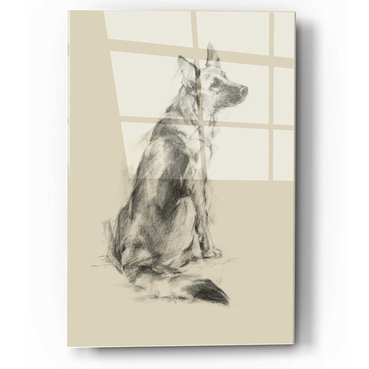 Epic Art 'Puppy Dog Eyes V' by Ethan Harper, Acrylic Glass Wall Art