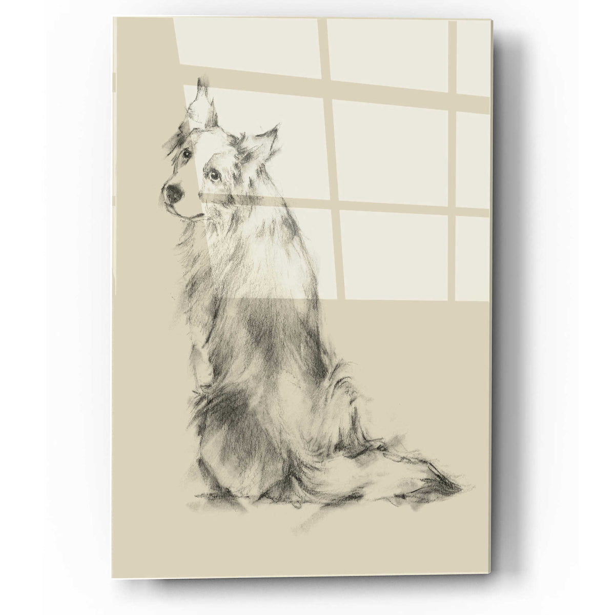 Epic Art 'Puppy Dog Eyes VI' by Ethan Harper, Acrylic Glass Wall Art