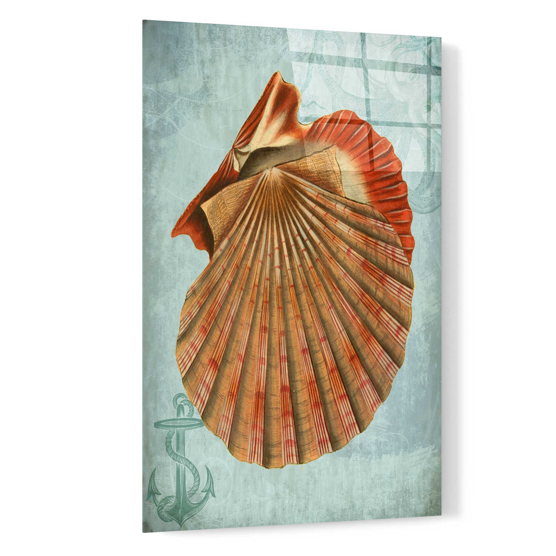 Epic Art 'Coastal Life Collection 2 c' by Fab Funky, Acrylic Glass Wall Art,16x24