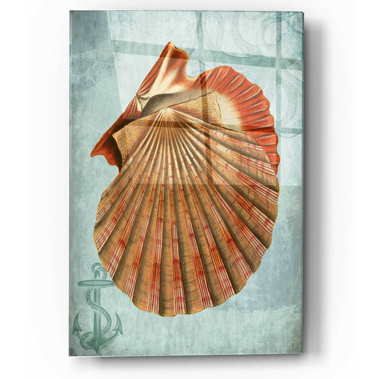 Epic Art 'Coastal Life Collection 2 c' by Fab Funky, Acrylic Glass Wall Art