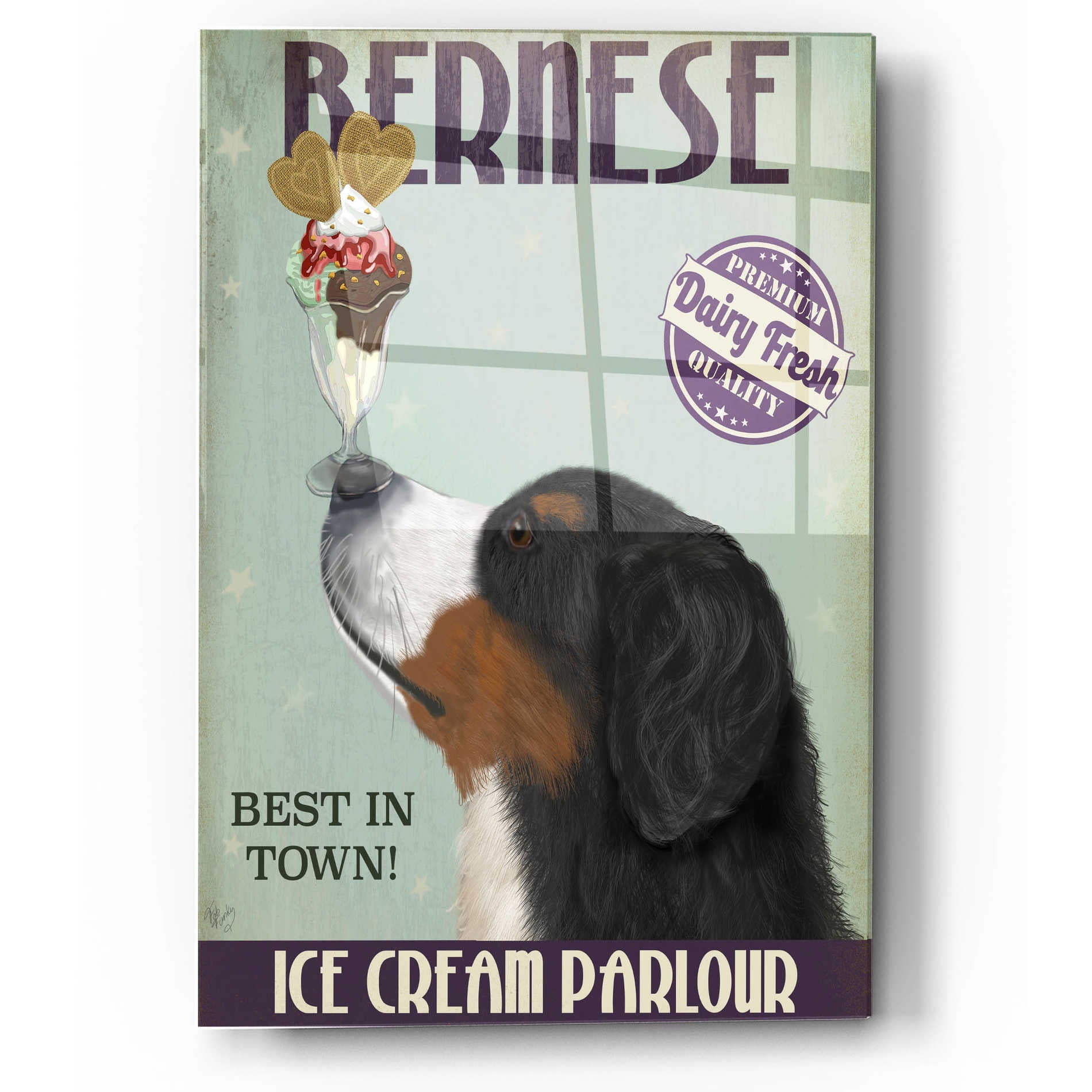 Epic Art 'Bernese Ice Cream' by Fab Funky, Acrylic Glass Wall Art,12x16