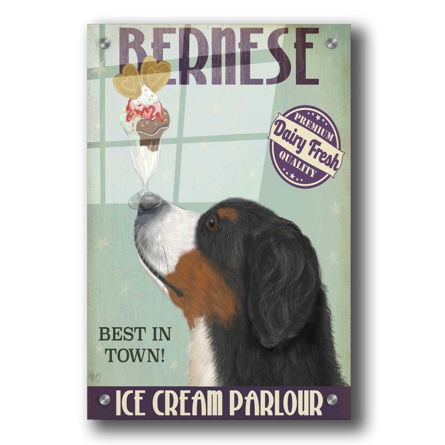 Epic Art 'Bernese Ice Cream' by Fab Funky, Acrylic Glass Wall Art,24x36