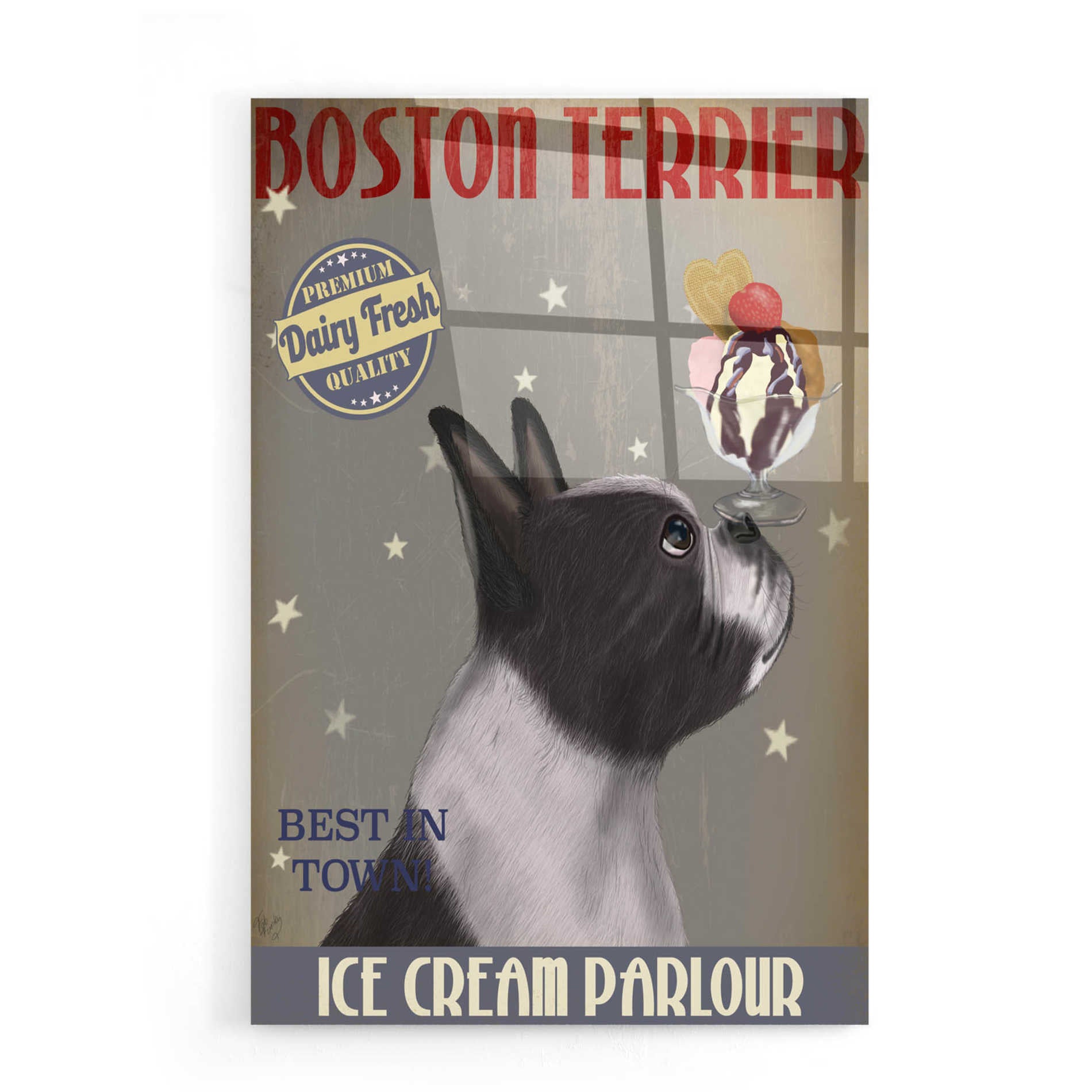 Epic Art 'Boston Terrier Ice Cream' by Fab Funky, Acrylic Glass Wall Art,16x24