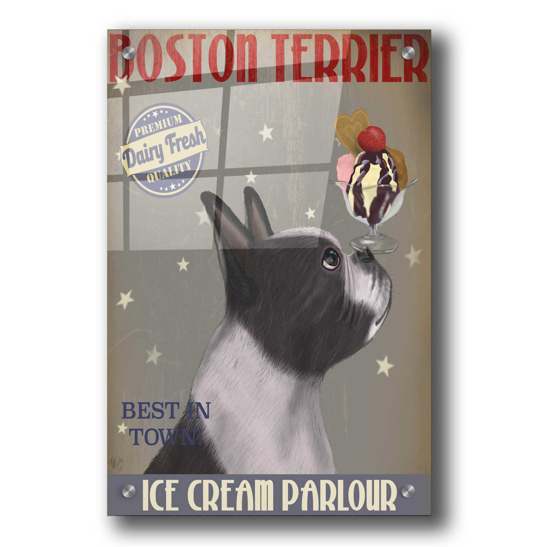 Epic Art 'Boston Terrier Ice Cream' by Fab Funky, Acrylic Glass Wall Art,24x36