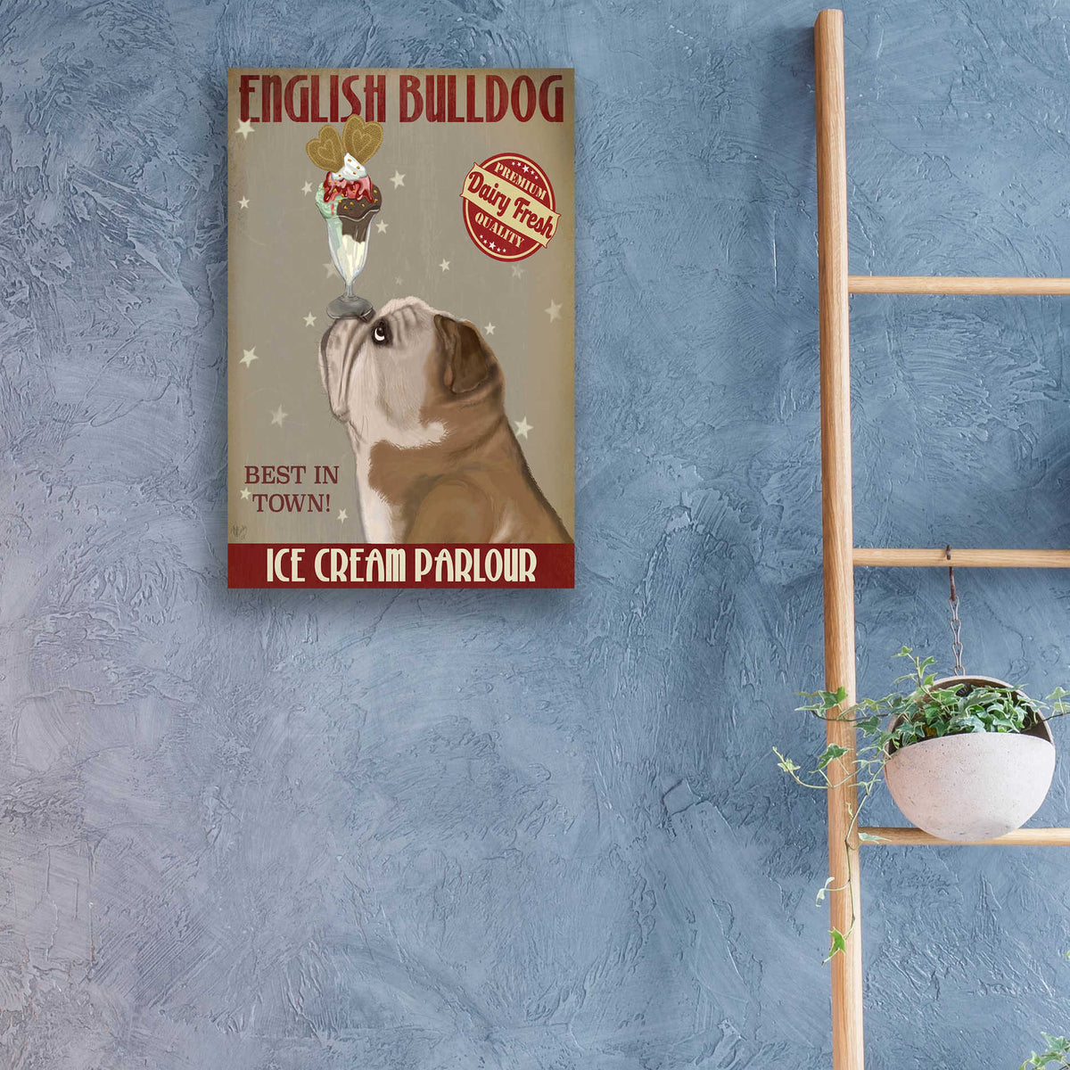 Epic Art 'English Bulldog Ice Cream' by Fab Funky, Acrylic Glass Wall Art,16x24