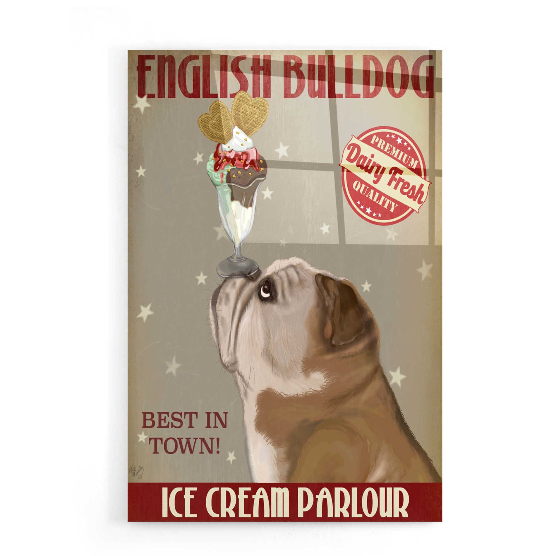Epic Art 'English Bulldog Ice Cream' by Fab Funky, Acrylic Glass Wall Art,16x24