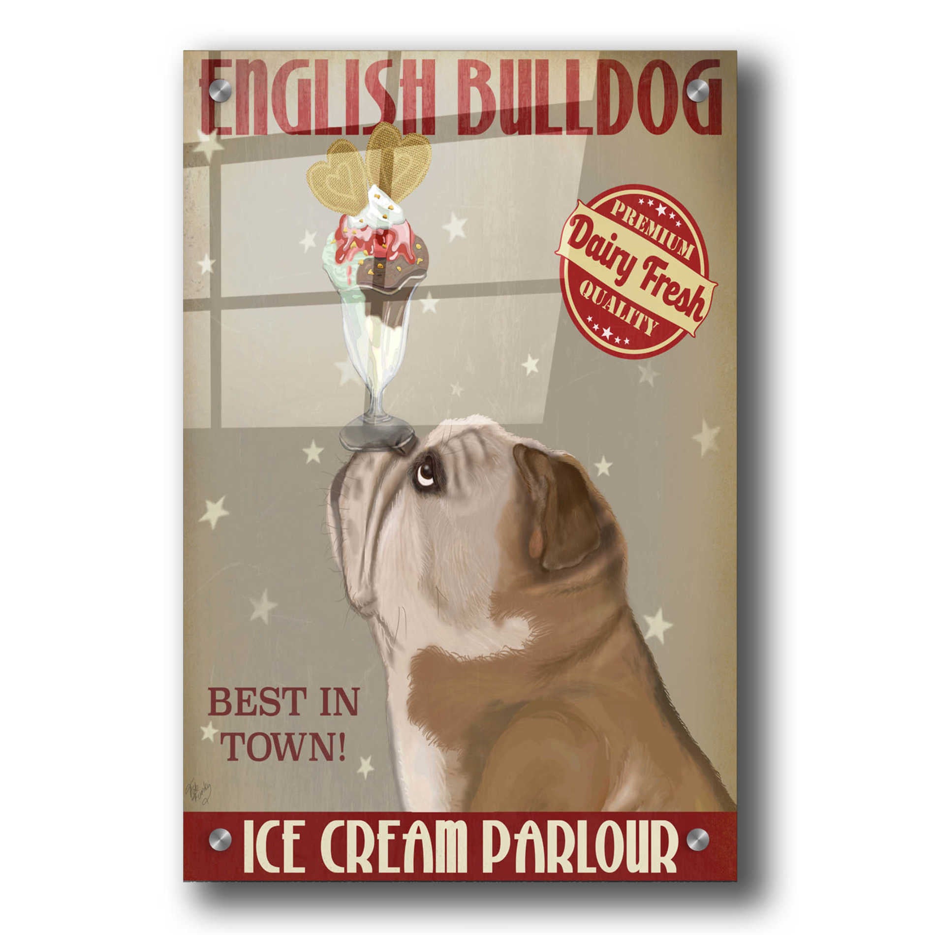 Epic Art 'English Bulldog Ice Cream' by Fab Funky, Acrylic Glass Wall Art,24x36