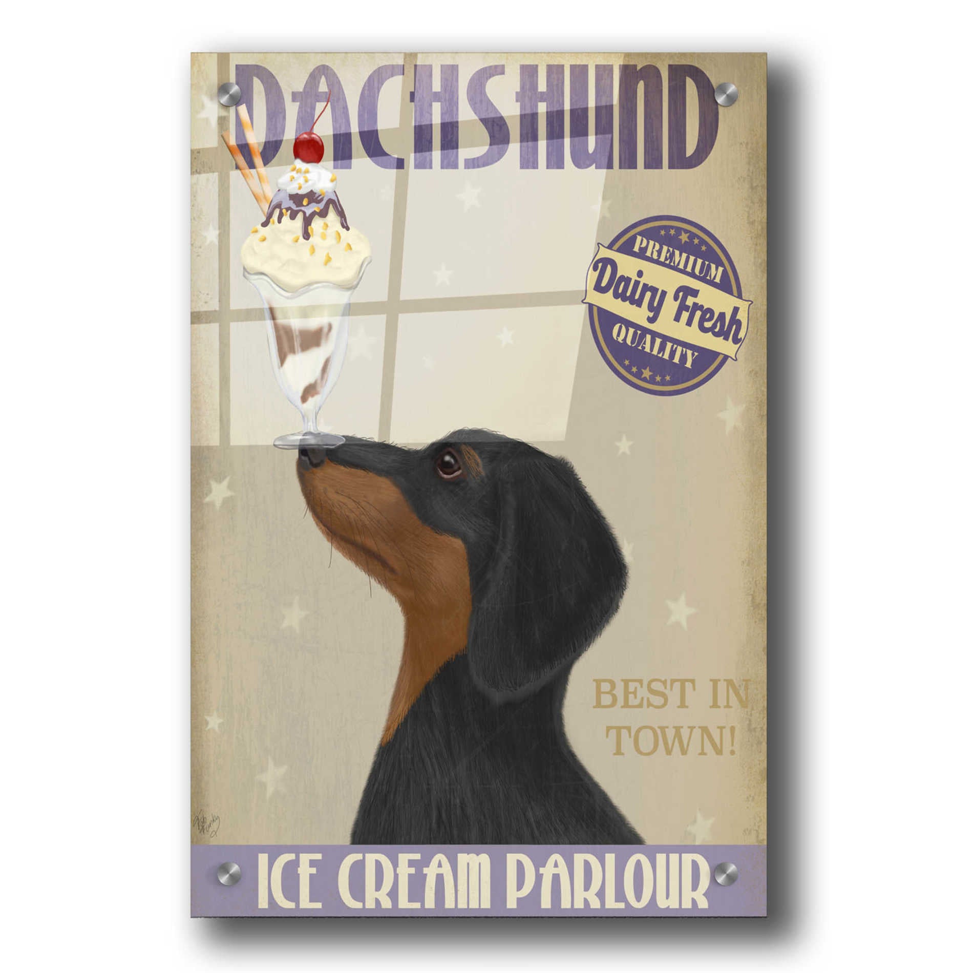 Epic Art 'Dachshund, Black and Tan, Ice Cream' by Fab Funky, Acrylic Glass Wall Art,24x36