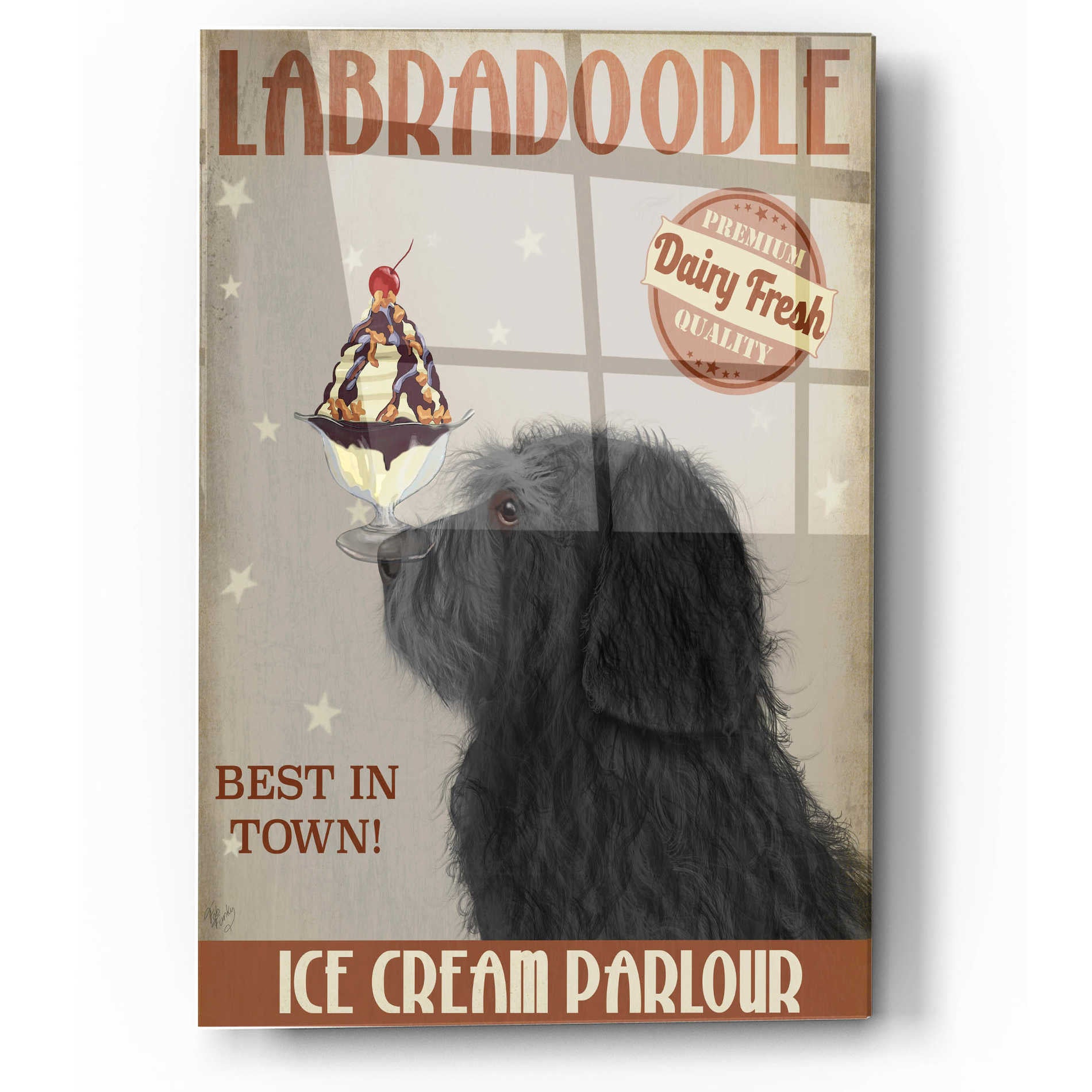 Epic Art 'Labradoodle, Black, Ice Cream' by Fab Funky, Acrylic Glass Wall Art,12x16