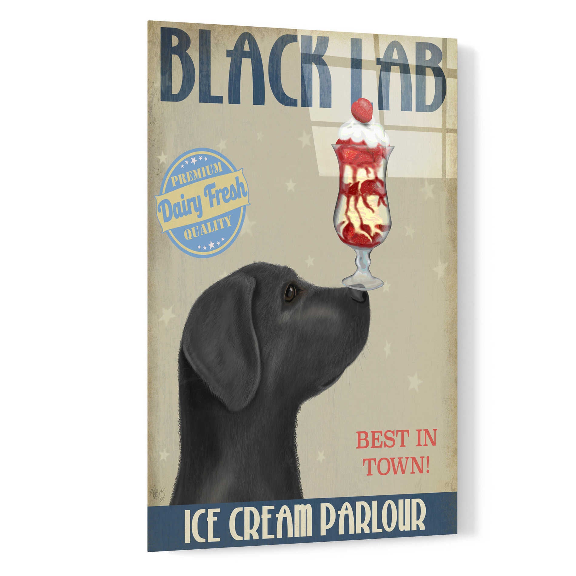 Epic Art 'Black Labrador Ice Cream' by Fab Funky, Acrylic Glass Wall Art,16x24