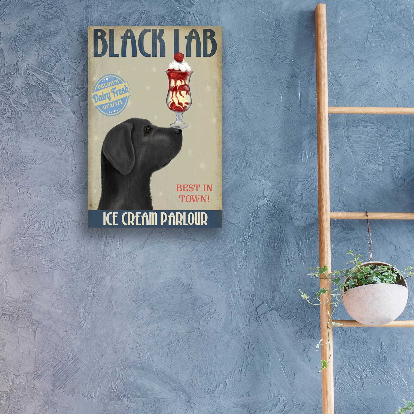 Epic Art 'Black Labrador Ice Cream' by Fab Funky, Acrylic Glass Wall Art,16x24