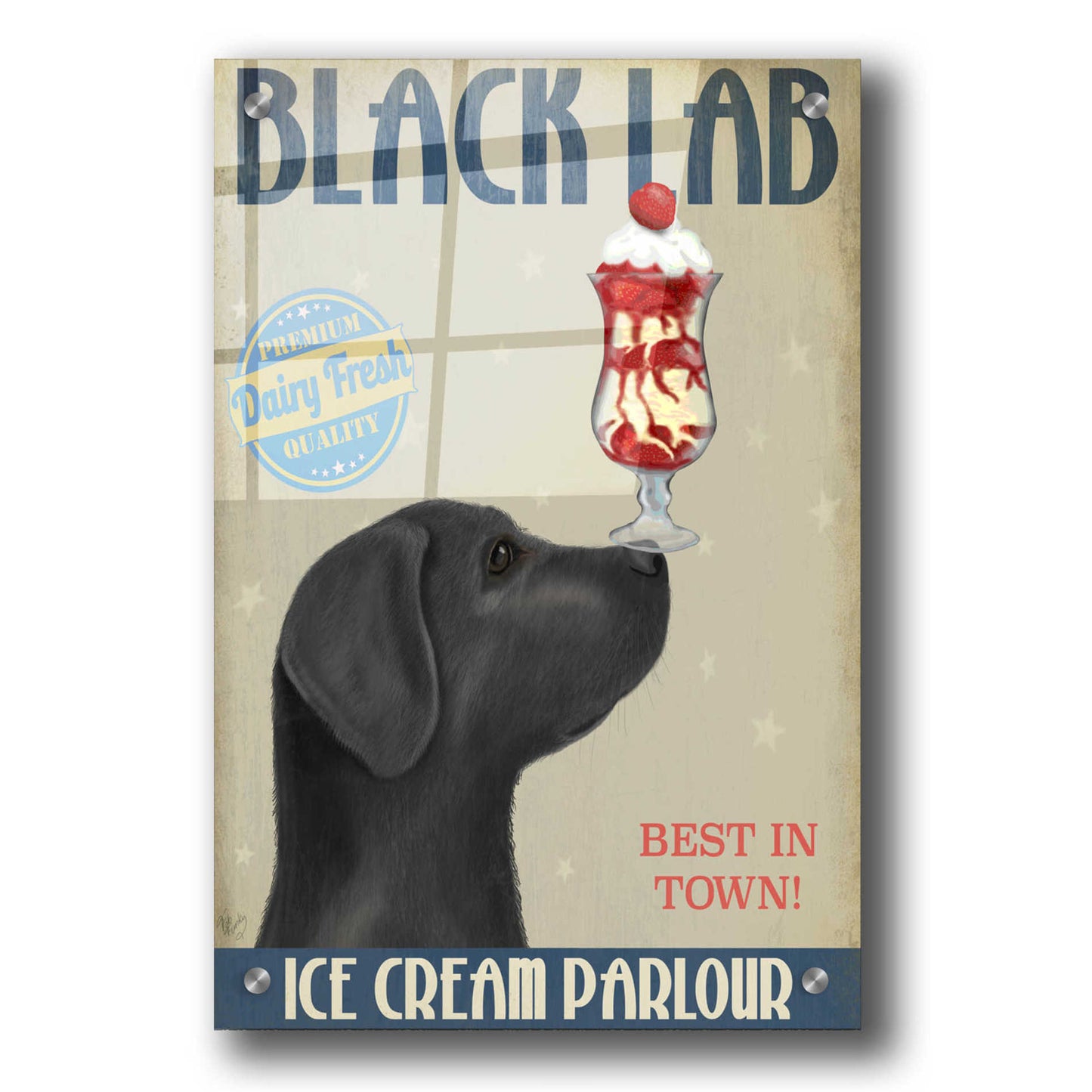 Epic Art 'Black Labrador Ice Cream' by Fab Funky, Acrylic Glass Wall Art,24x36