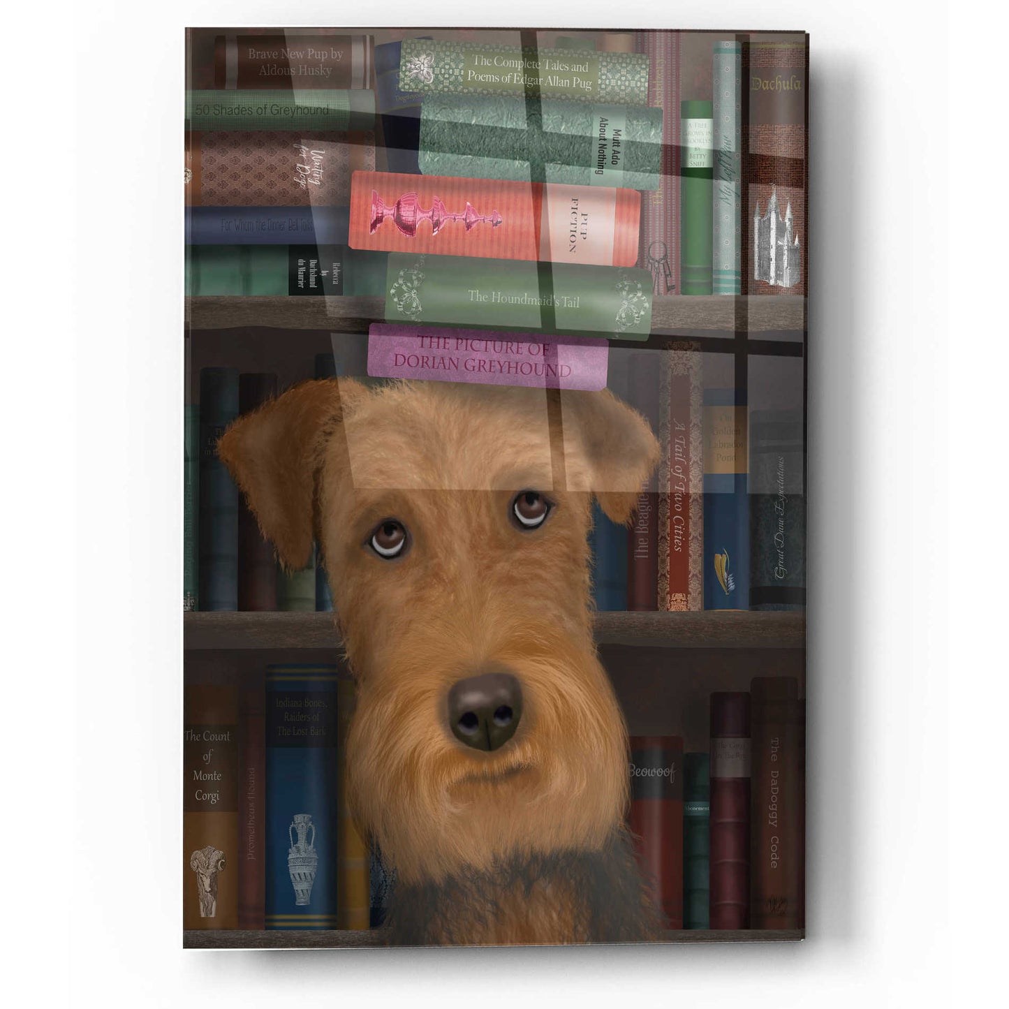 Epic Art 'Airedale and Books' by Fab Funky, Acrylic Glass Wall Art,12x16