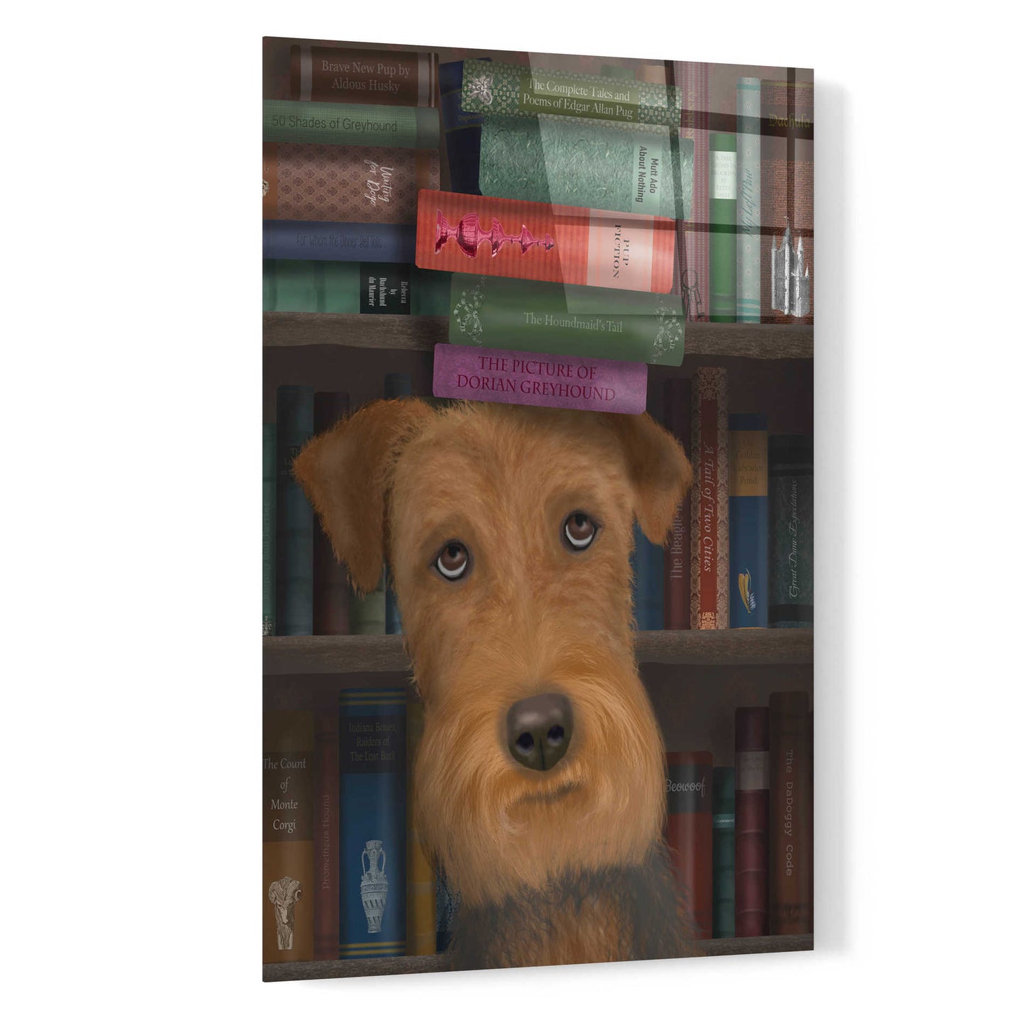 Epic Art 'Airedale and Books' by Fab Funky, Acrylic Glass Wall Art,16x24