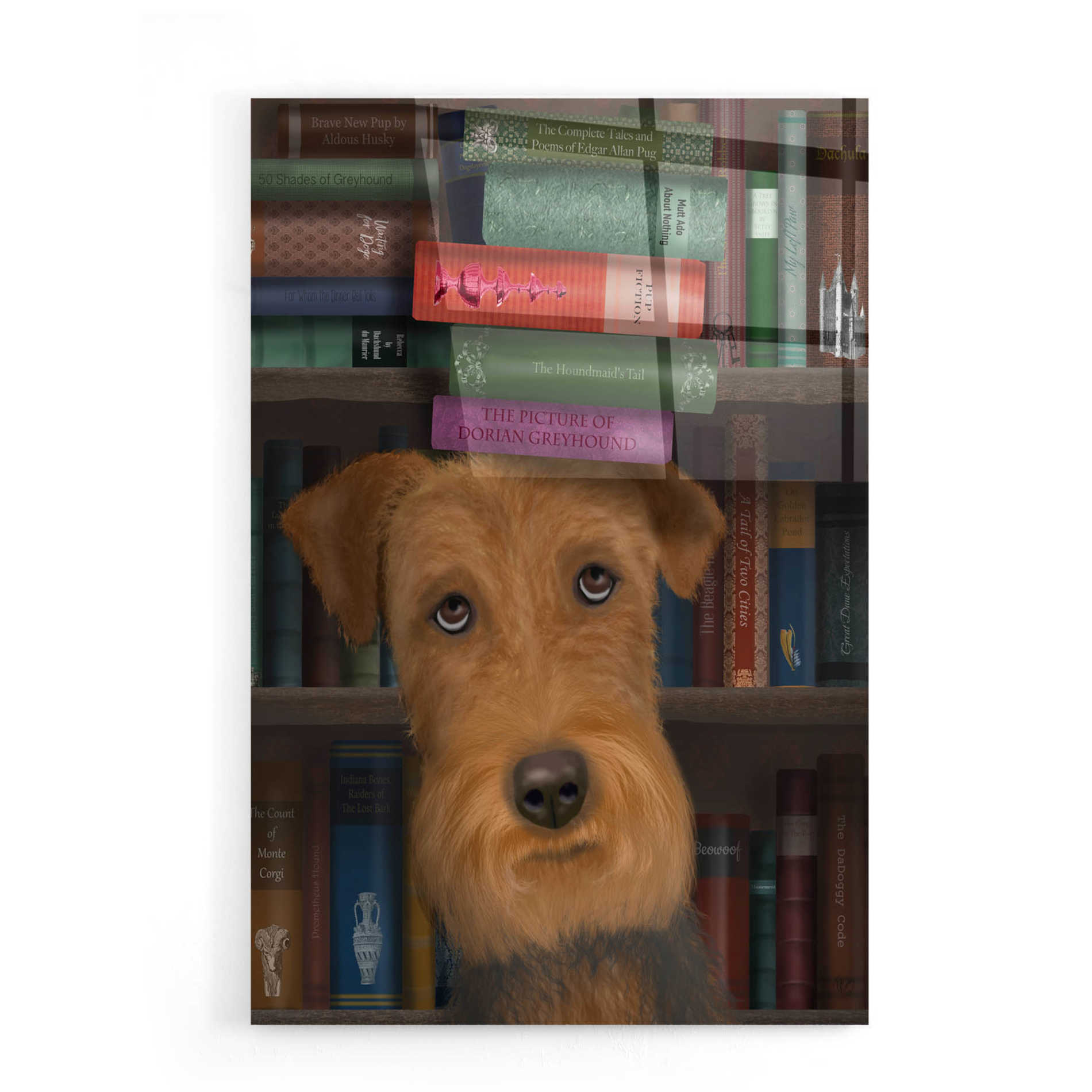 Epic Art 'Airedale and Books' by Fab Funky, Acrylic Glass Wall Art,16x24