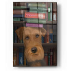 Epic Art 'Airedale and Books' by Fab Funky, Acrylic Glass Wall Art