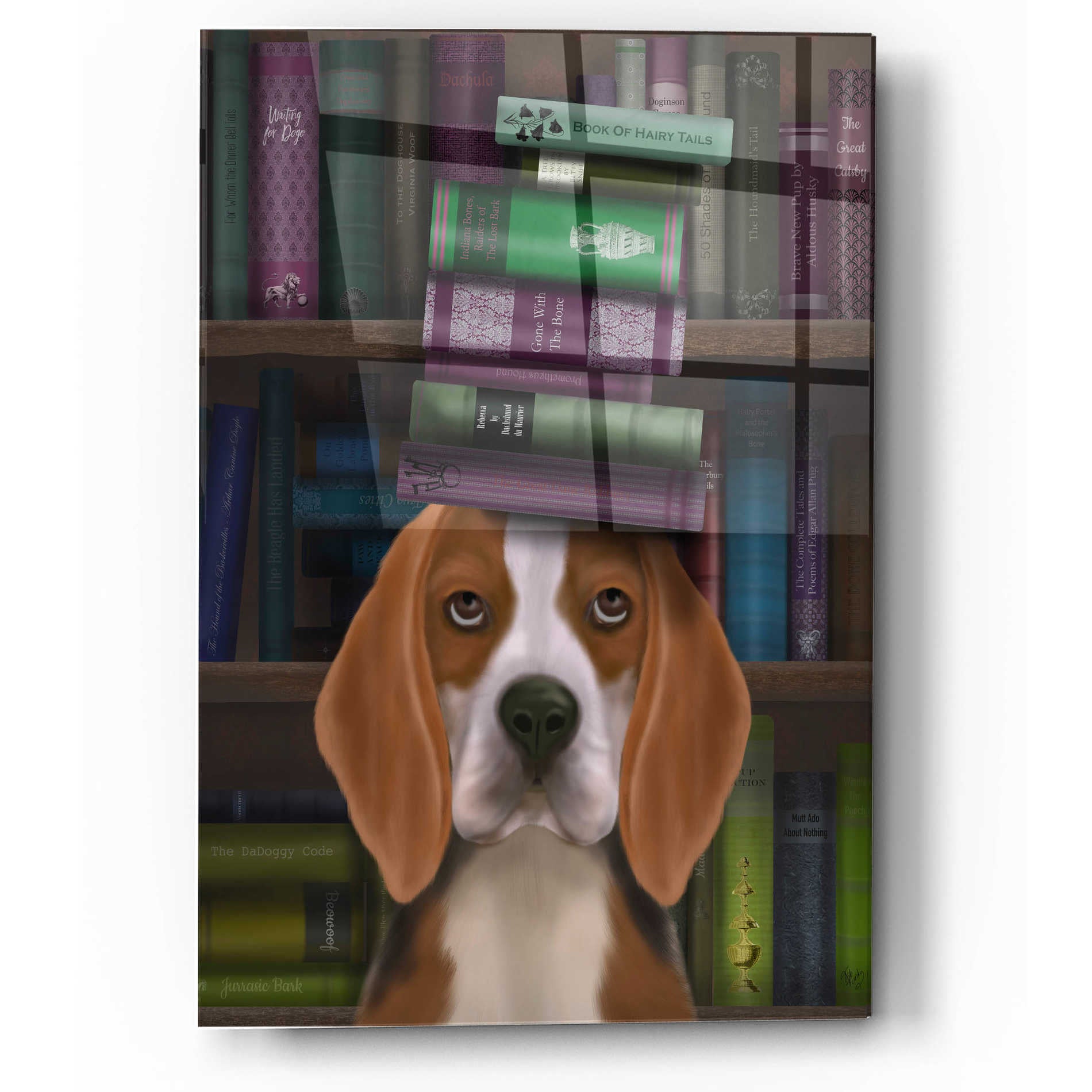 Epic Art 'Beagle and Books' by Fab Funky, Acrylic Glass Wall Art,12x16