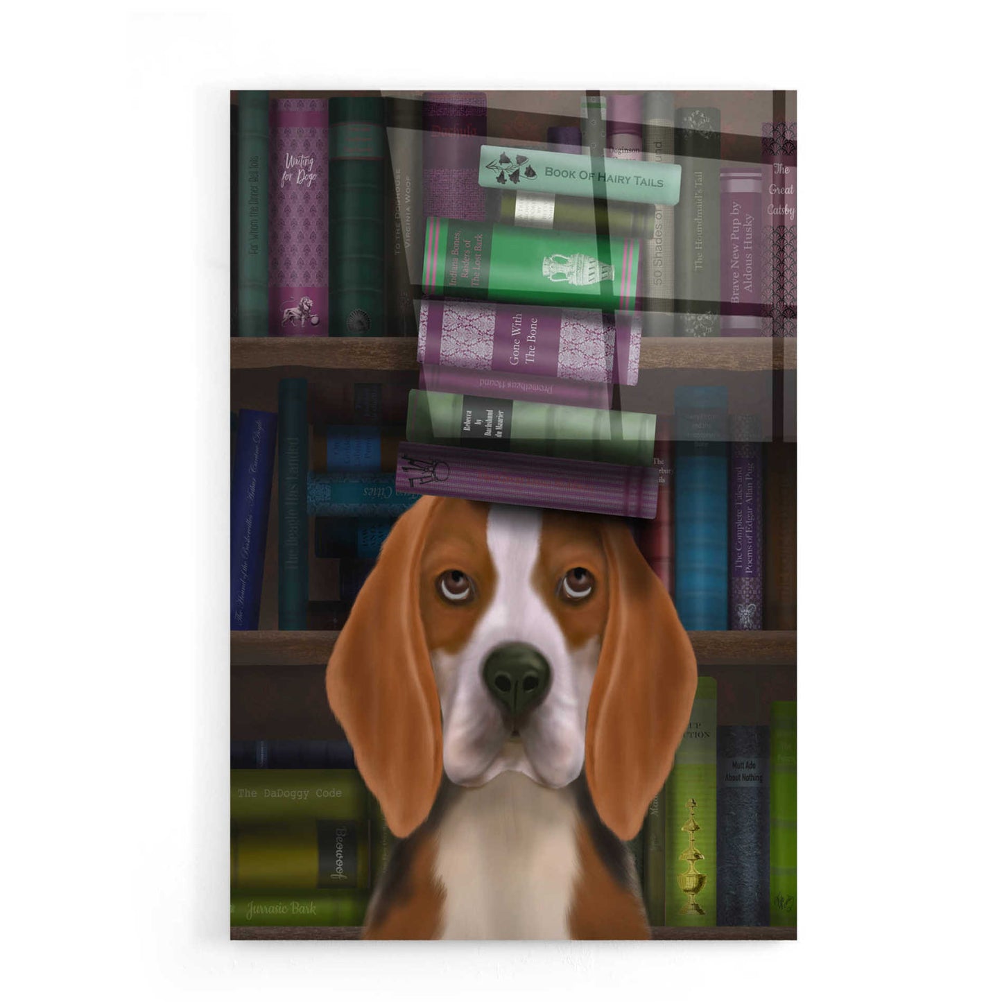 Epic Art 'Beagle and Books' by Fab Funky, Acrylic Glass Wall Art,16x24