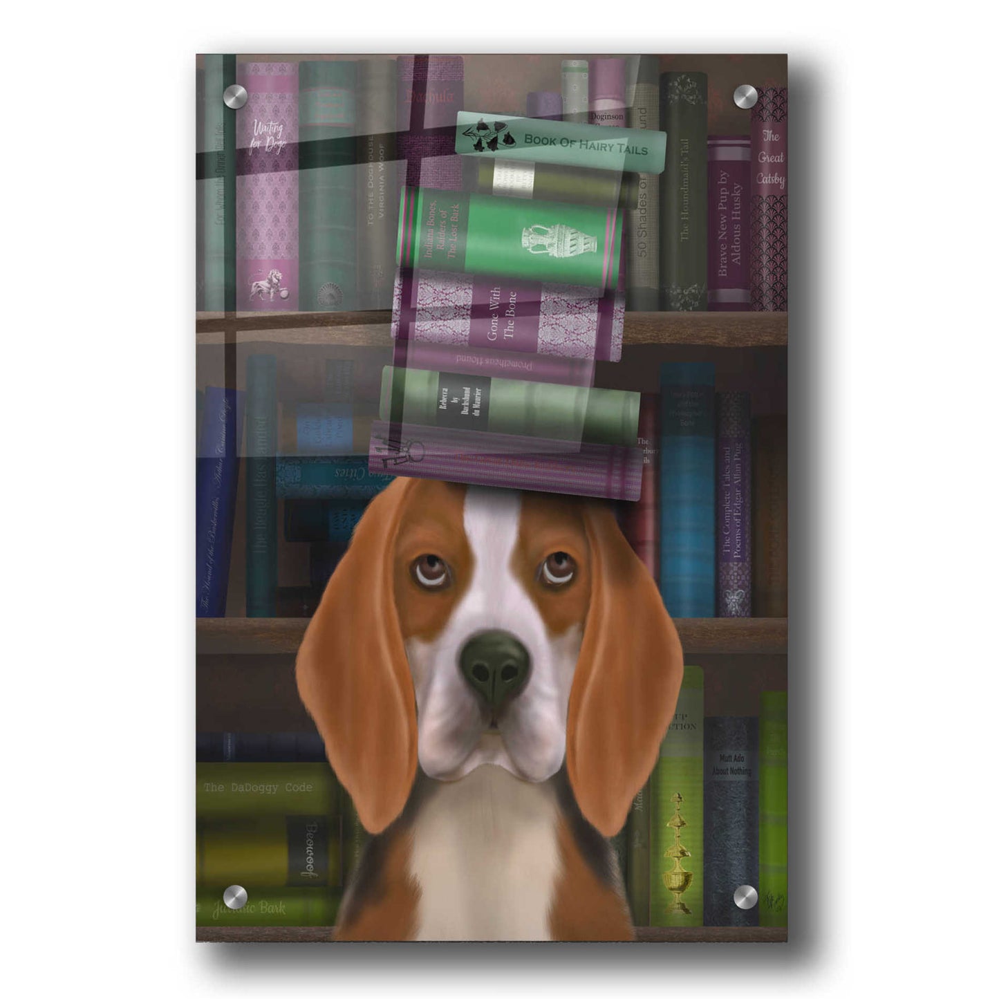Epic Art 'Beagle and Books' by Fab Funky, Acrylic Glass Wall Art,24x36