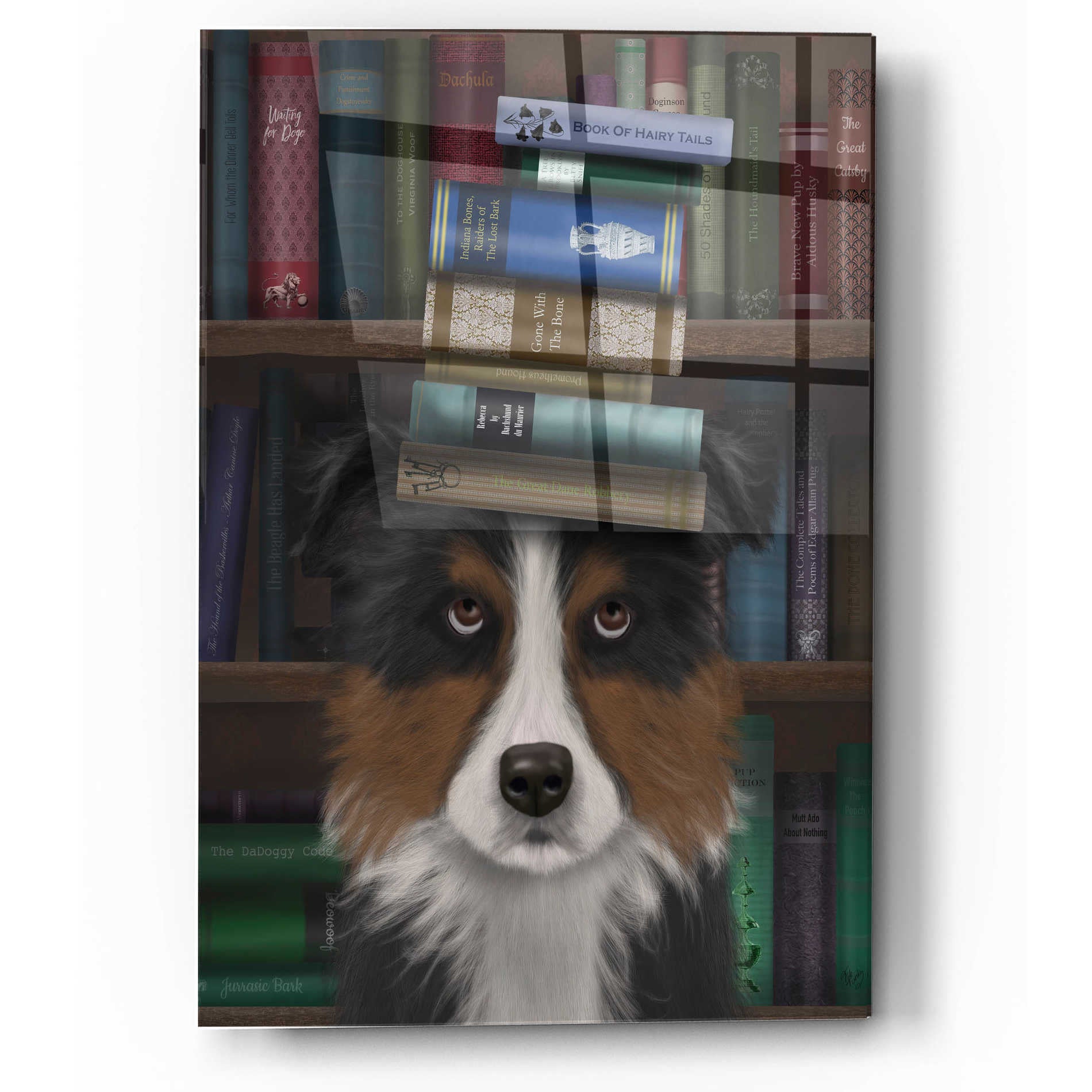 Epic Art 'Border Collie, Tricolour, and Books' by Fab Funky, Acrylic Glass Wall Art,12x16