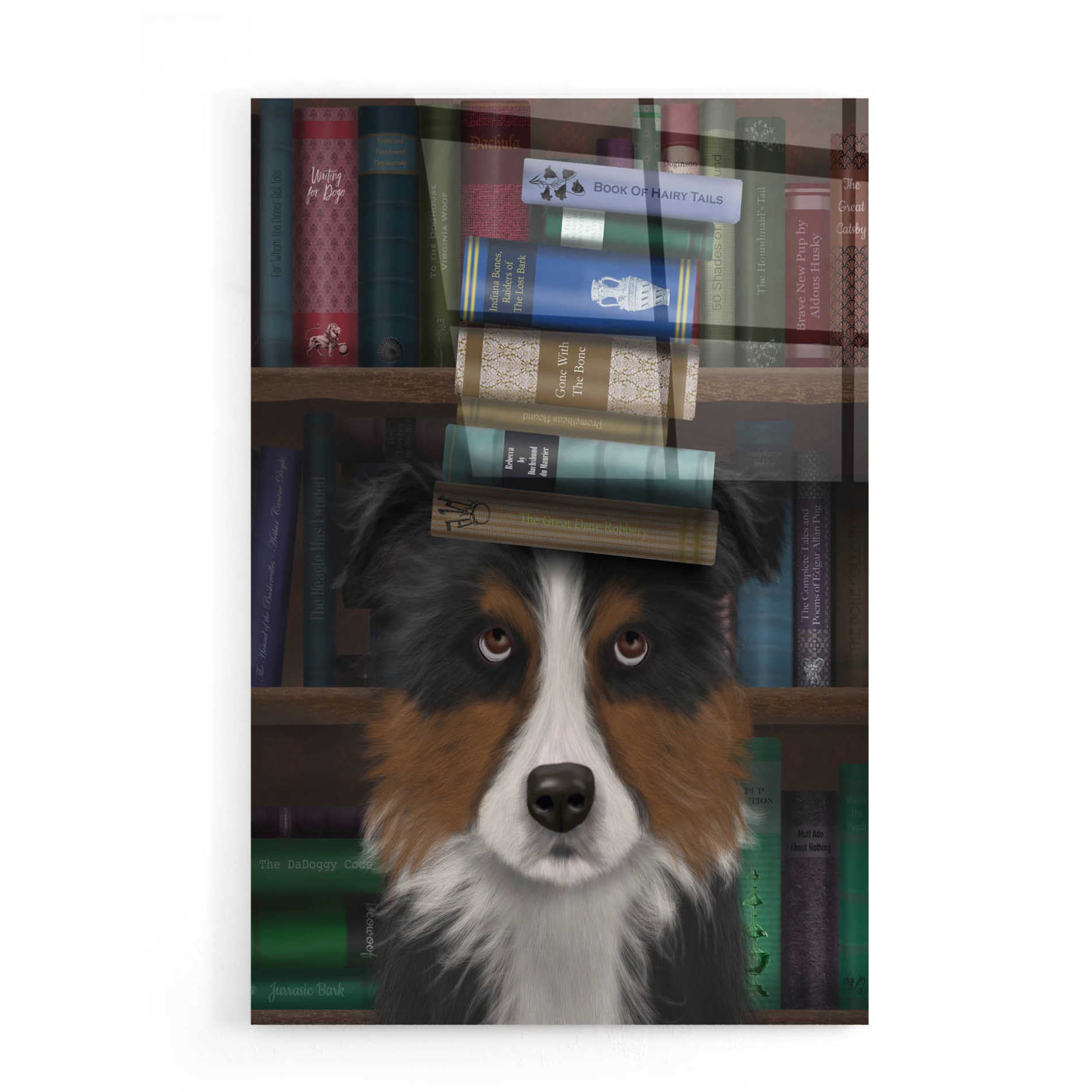 Epic Art 'Border Collie, Tricolour, and Books' by Fab Funky, Acrylic Glass Wall Art,16x24