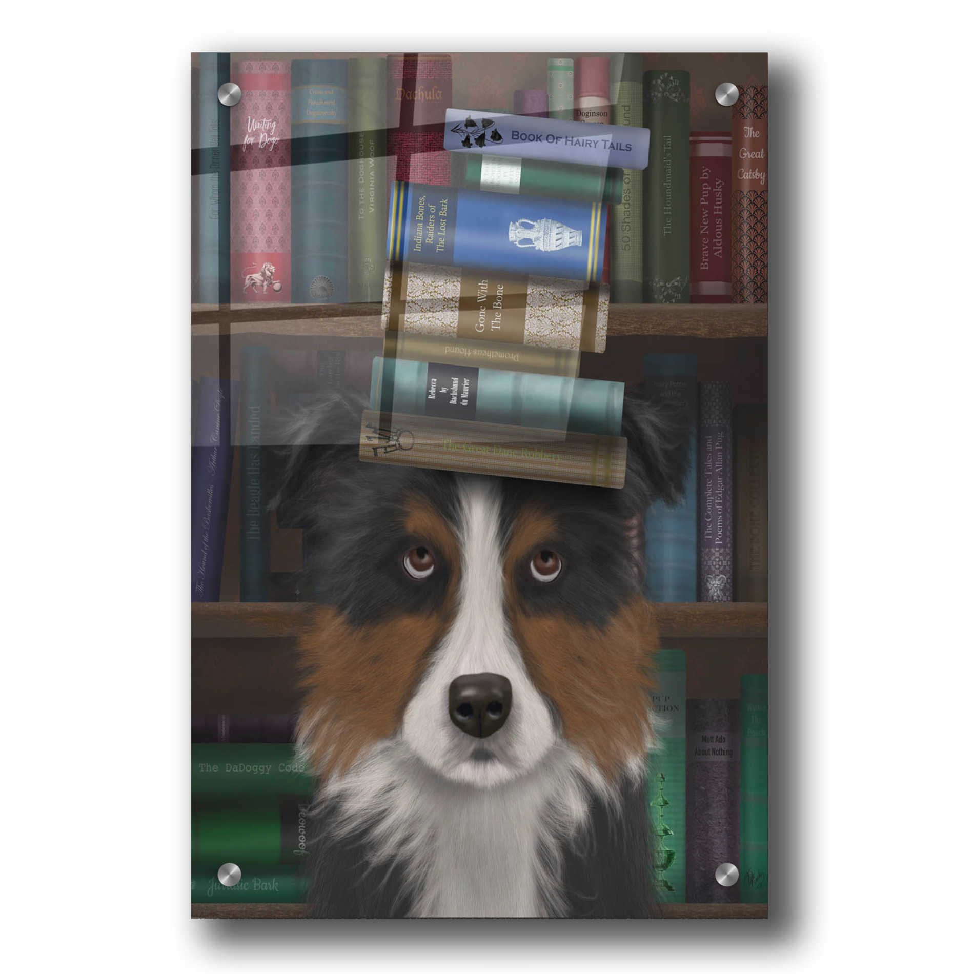 Epic Art 'Border Collie, Tricolour, and Books' by Fab Funky, Acrylic Glass Wall Art,24x36