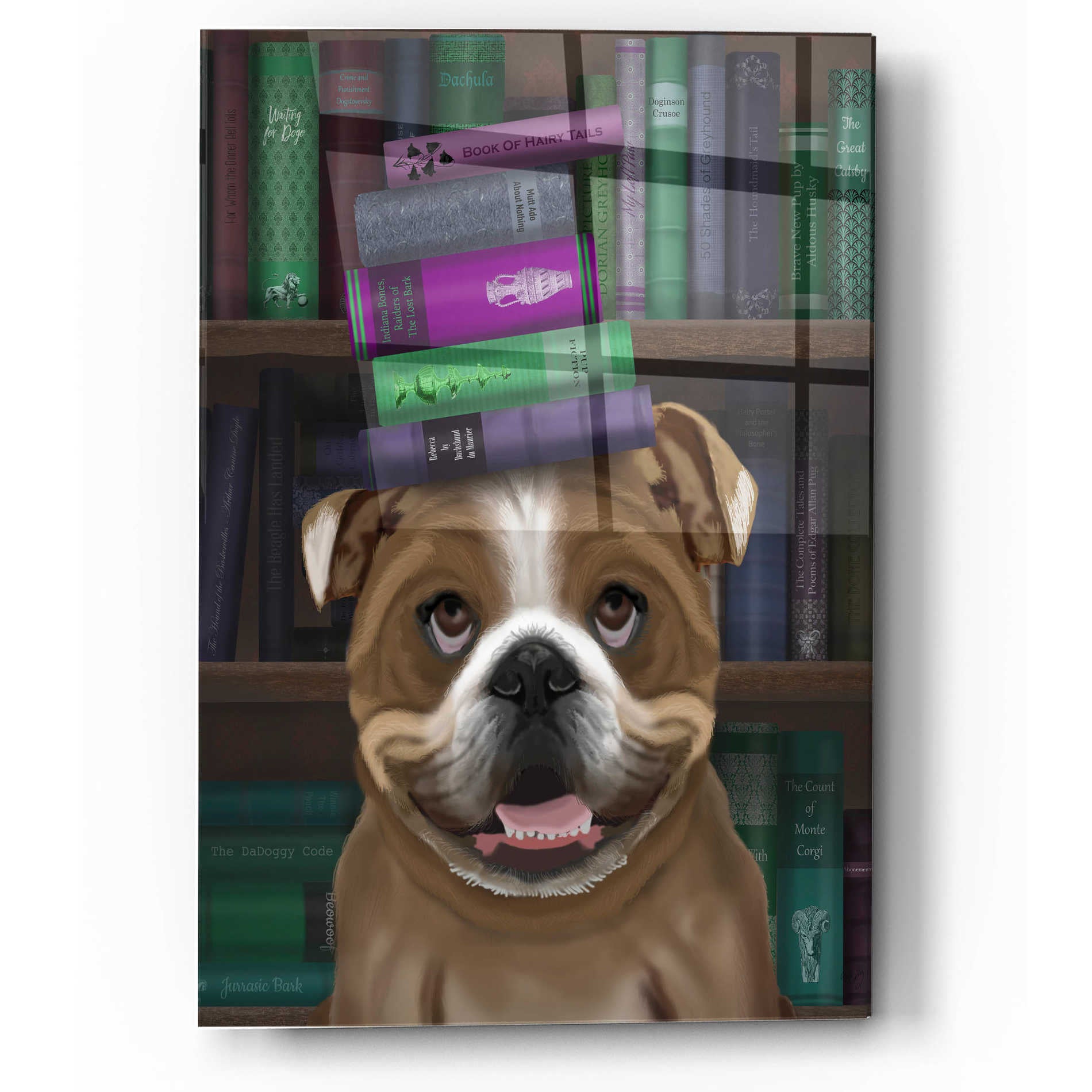 Epic Art 'English Bulldog And Books' by Fab Funky, Acrylic Glass Wall Art,12x16