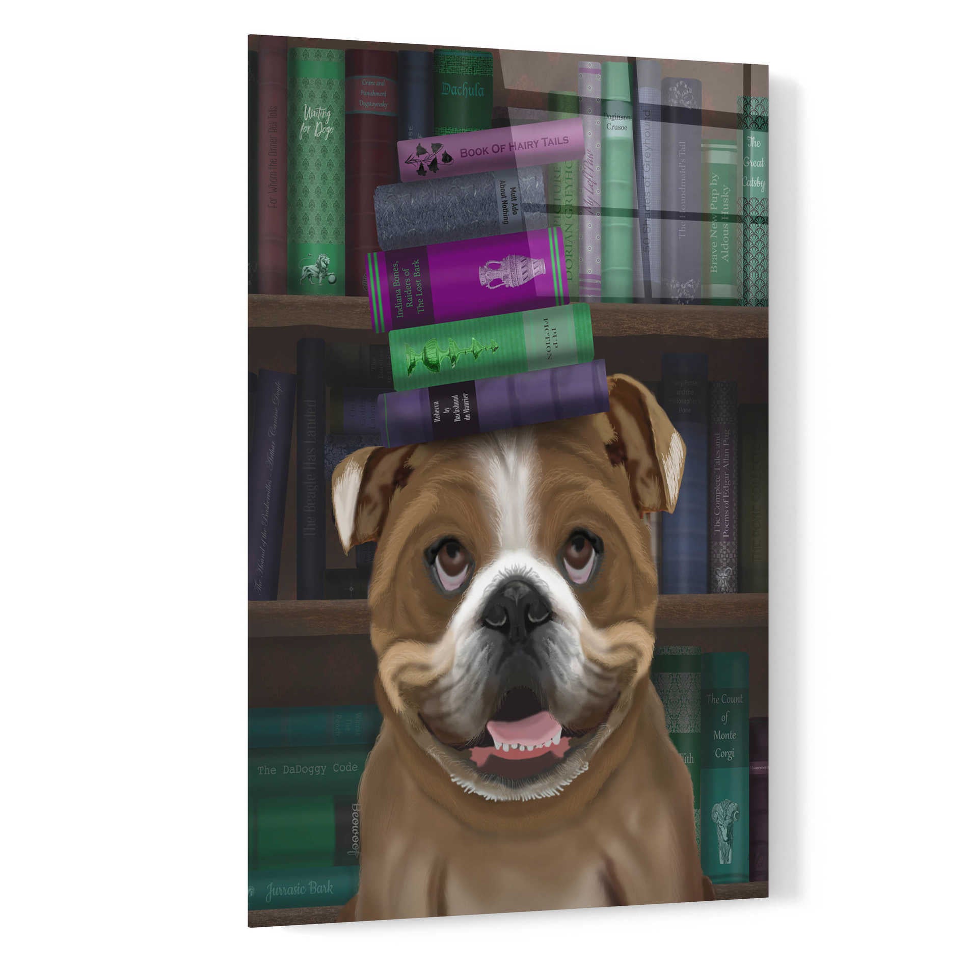 Epic Art 'English Bulldog And Books' by Fab Funky, Acrylic Glass Wall Art,16x24