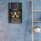 Epic Art 'English Bulldog And Books' by Fab Funky, Acrylic Glass Wall Art,16x24