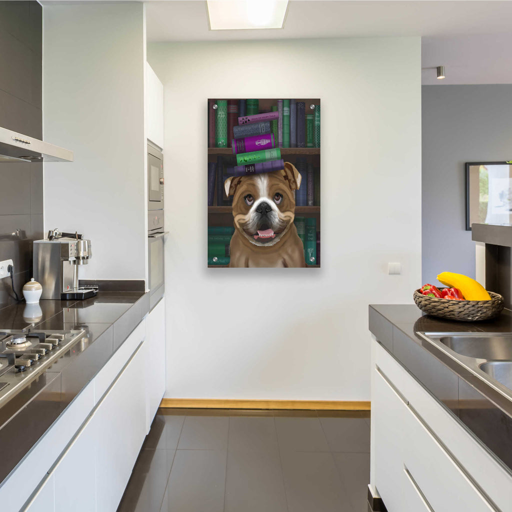 Epic Art 'English Bulldog And Books' by Fab Funky, Acrylic Glass Wall Art,24x36