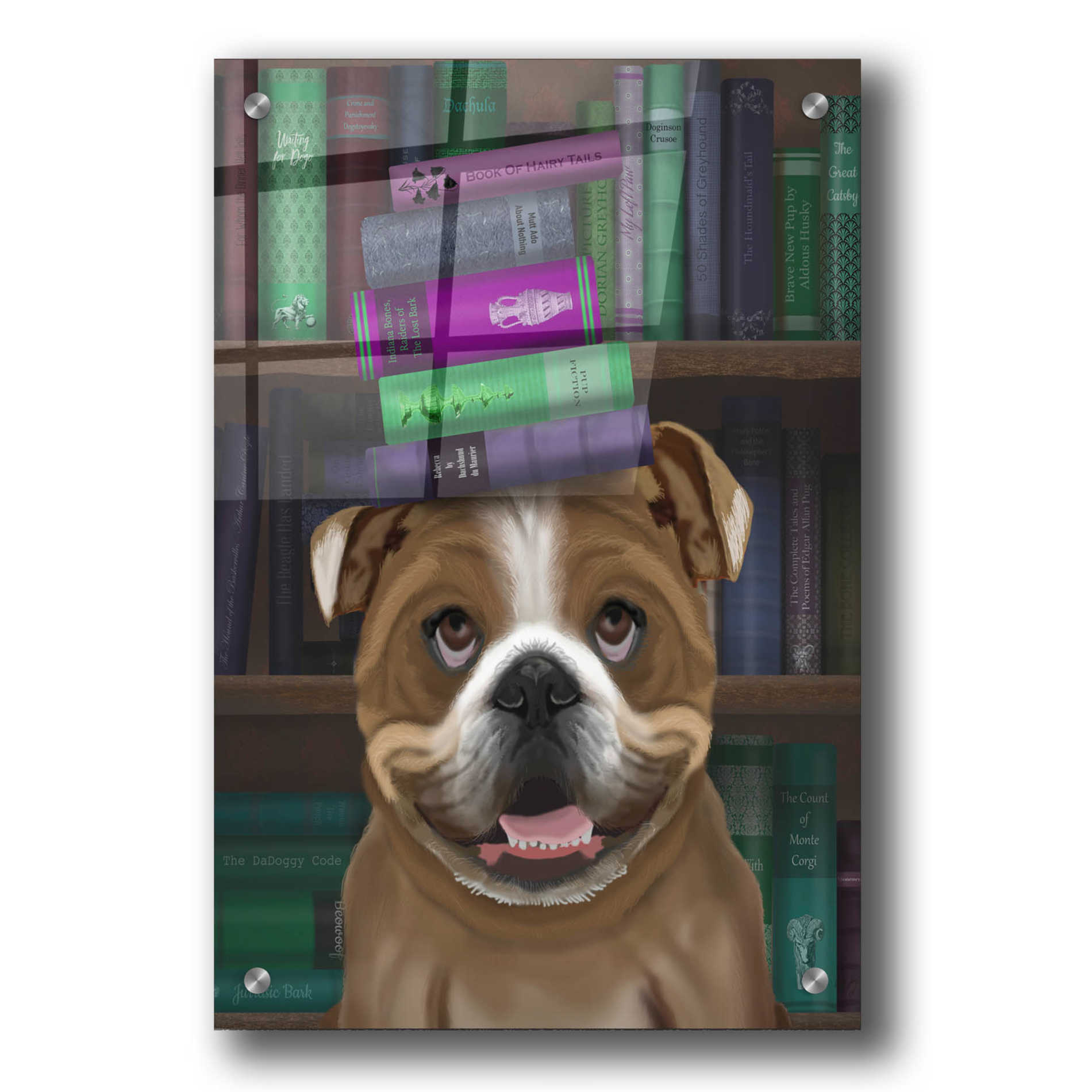 Epic Art 'English Bulldog And Books' by Fab Funky, Acrylic Glass Wall Art,24x36