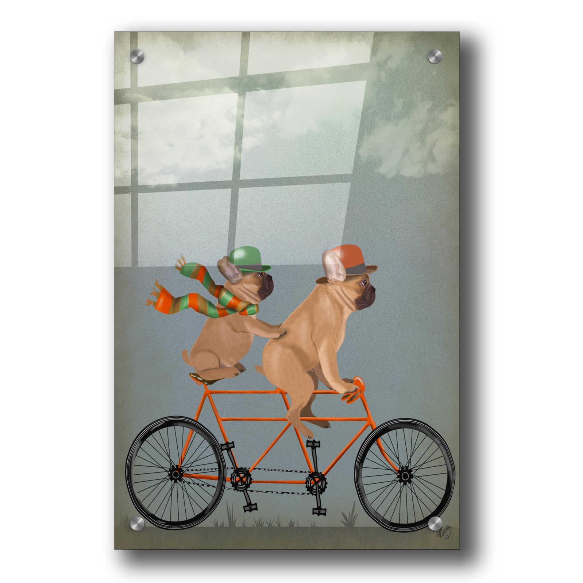 Epic Art 'French Bulldog Tandem' by Fab Funky, Acrylic Glass Wall Art,24x36
