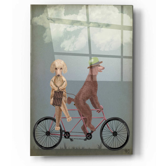 Epic Art 'Poodle Tandem' by Fab Funky, Acrylic Glass Wall Art