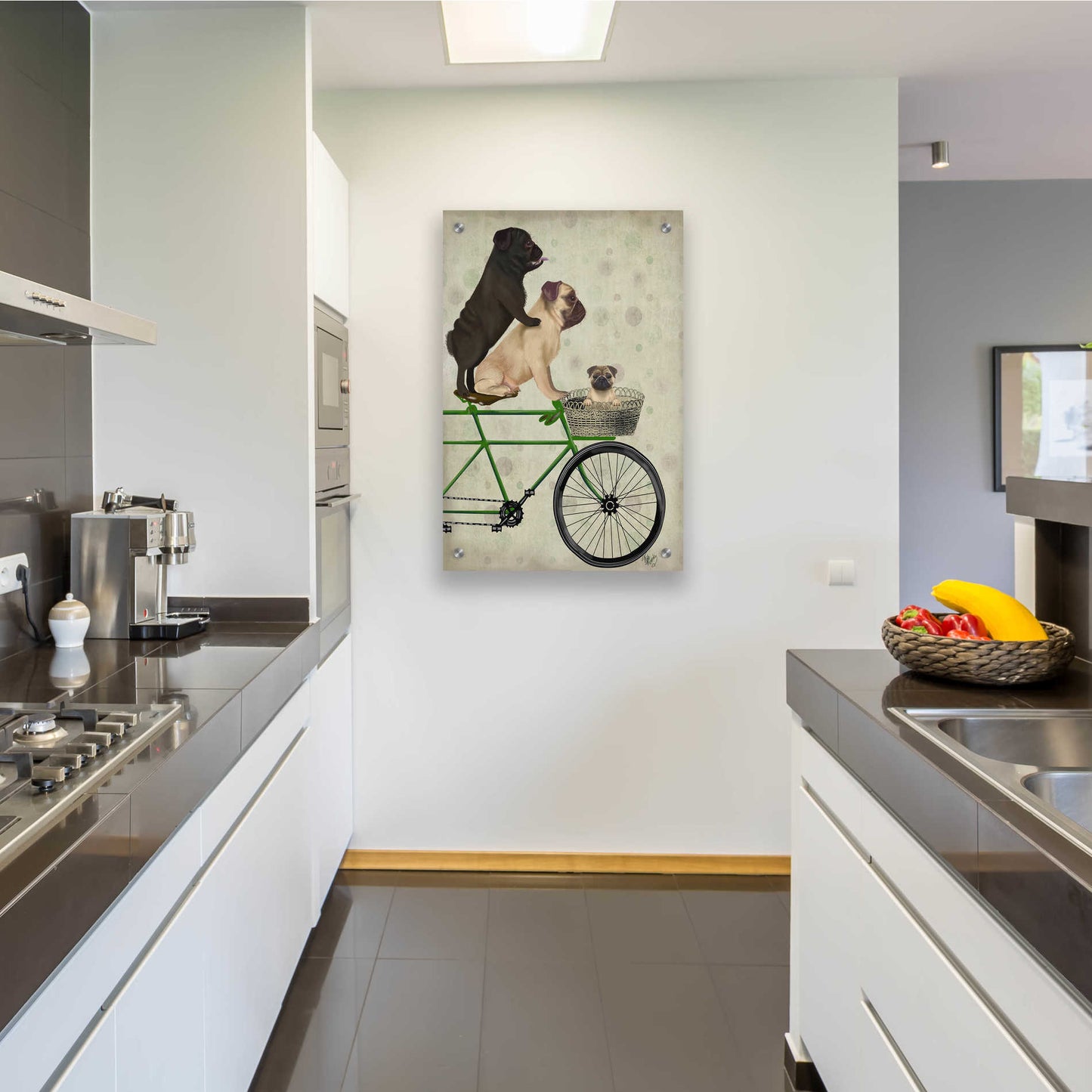 Epic Art 'Pugs on Bicycle' by Fab Funky, Acrylic Glass Wall Art,24x36