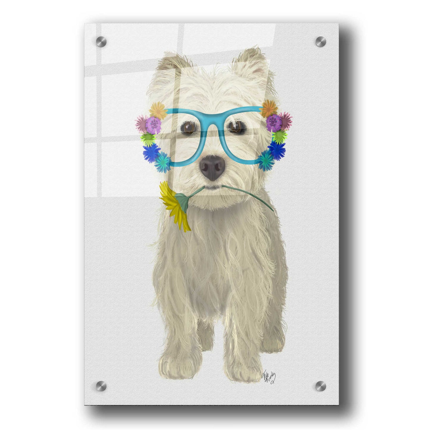 Epic Art 'West Highland Terrier Flower Glasses' by Fab Funky, Acrylic Glass Wall Art,24x36