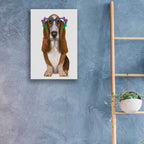 Epic Art 'Basset Hound Flower Glasses' by Fab Funky, Acrylic Glass Wall Art,16x24