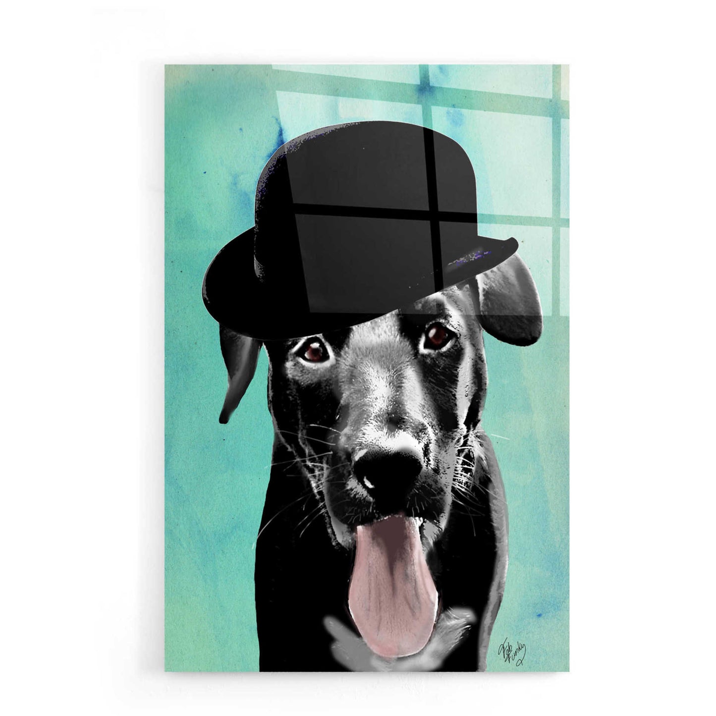 Epic Art 'Black Labrador in Bowler Hat' by Fab Funky, Acrylic Glass Wall Art,16x24