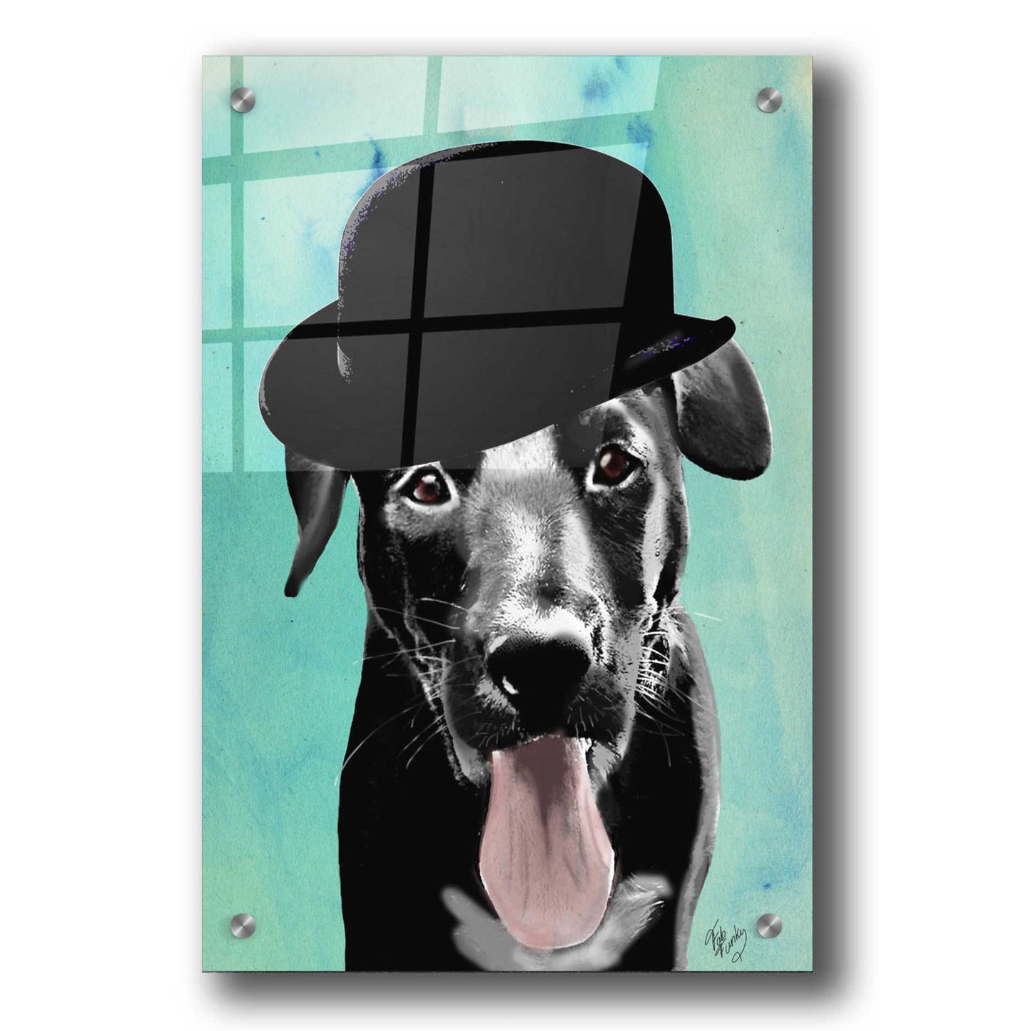 Epic Art 'Black Labrador in Bowler Hat' by Fab Funky, Acrylic Glass Wall Art,24x36