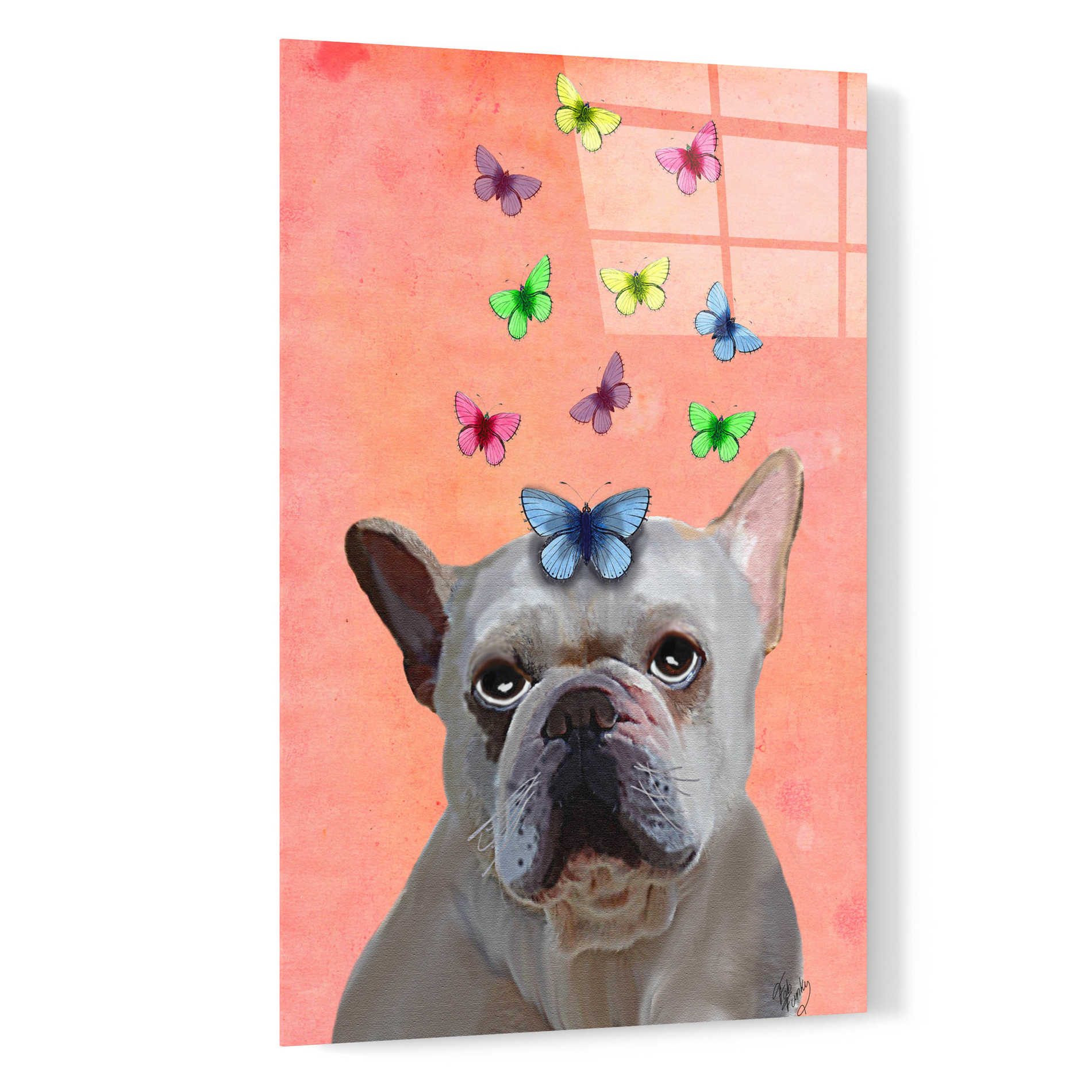 Epic Art 'White French Bulldog and Butterflies' by Fab Funky, Acrylic Glass Wall Art,16x24