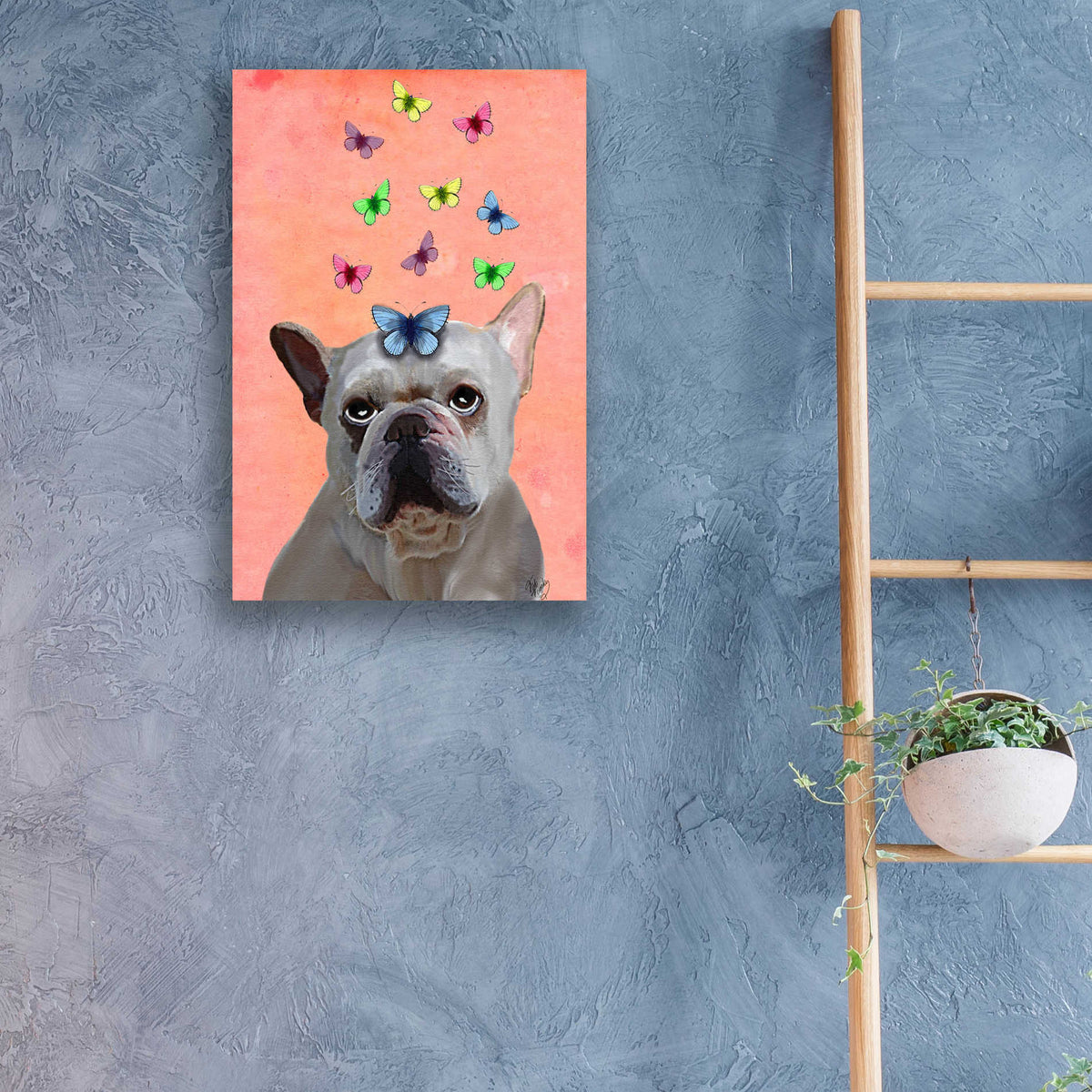 Epic Art 'White French Bulldog and Butterflies' by Fab Funky, Acrylic Glass Wall Art,16x24