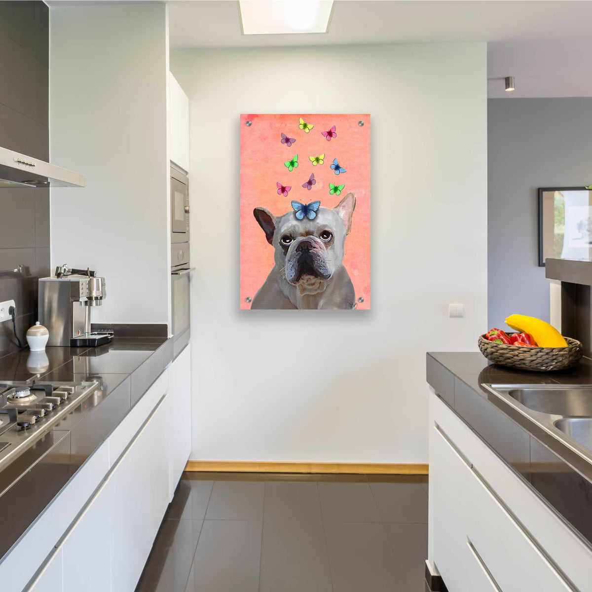 Epic Art 'White French Bulldog and Butterflies' by Fab Funky, Acrylic Glass Wall Art,24x36