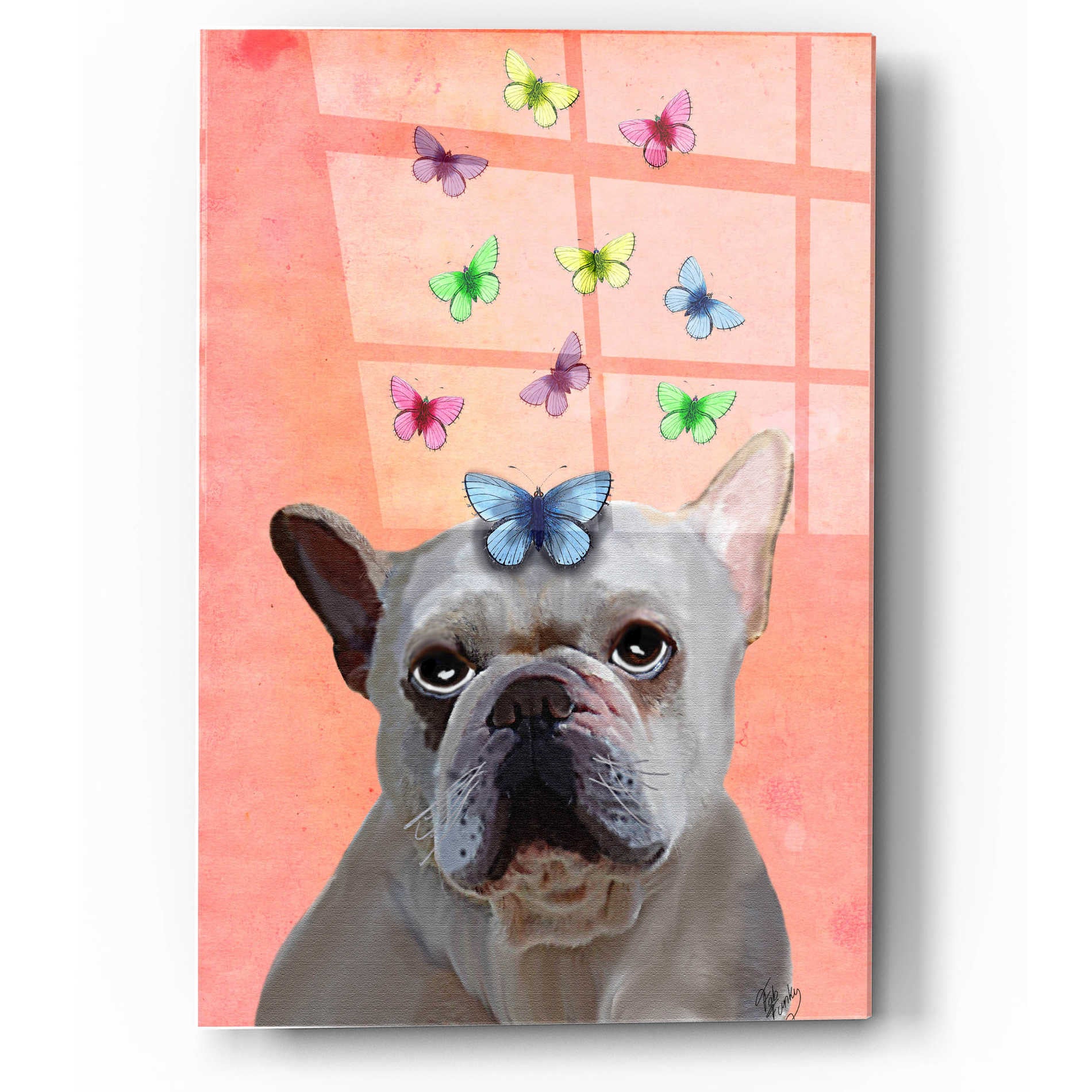 Epic Art 'White French Bulldog and Butterflies' by Fab Funky, Acrylic Glass Wall Art