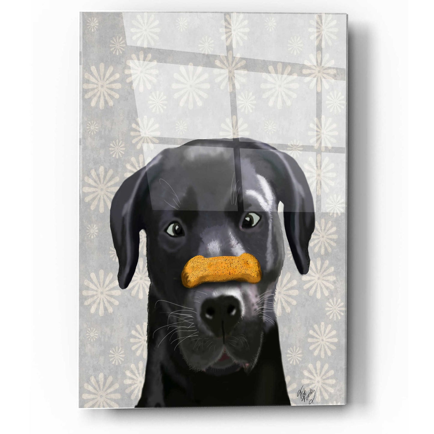 Epic Art 'Black Labrador With Bone on Nose' by Fab Funky, Acrylic Glass Wall Art,12x16