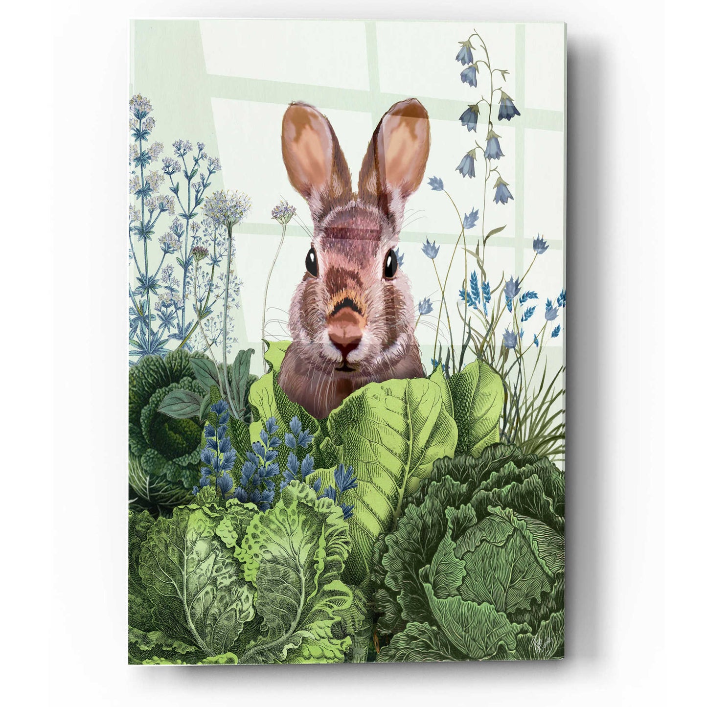 Epic Art 'Cabbage Patch Rabbit 6' by Fab Funky, Acrylic Glass Wall Art,12x16